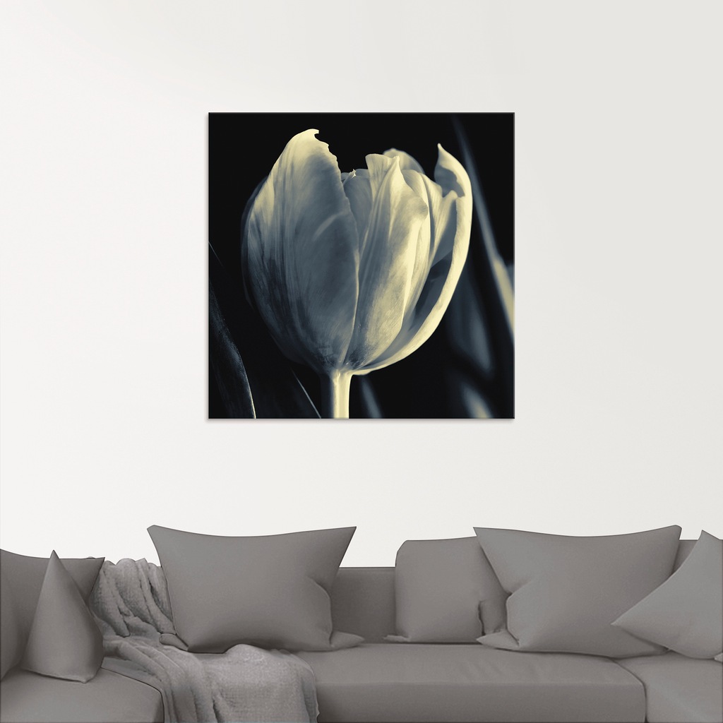 Artland Glasbild "Tulpe", Blumen, (1 St.), in verschiedenen Größen günstig online kaufen
