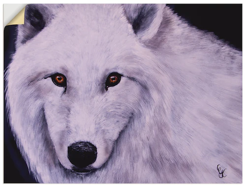 Artland Wandfolie "Weißer Wolf", Wildtiere, (1 St.), selbstklebend günstig online kaufen