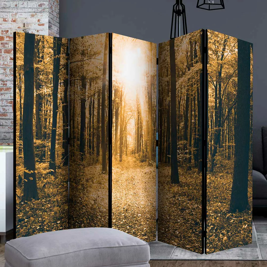 Fotoprint Paravent mit Wald Motiv Herbst Landhausstil günstig online kaufen