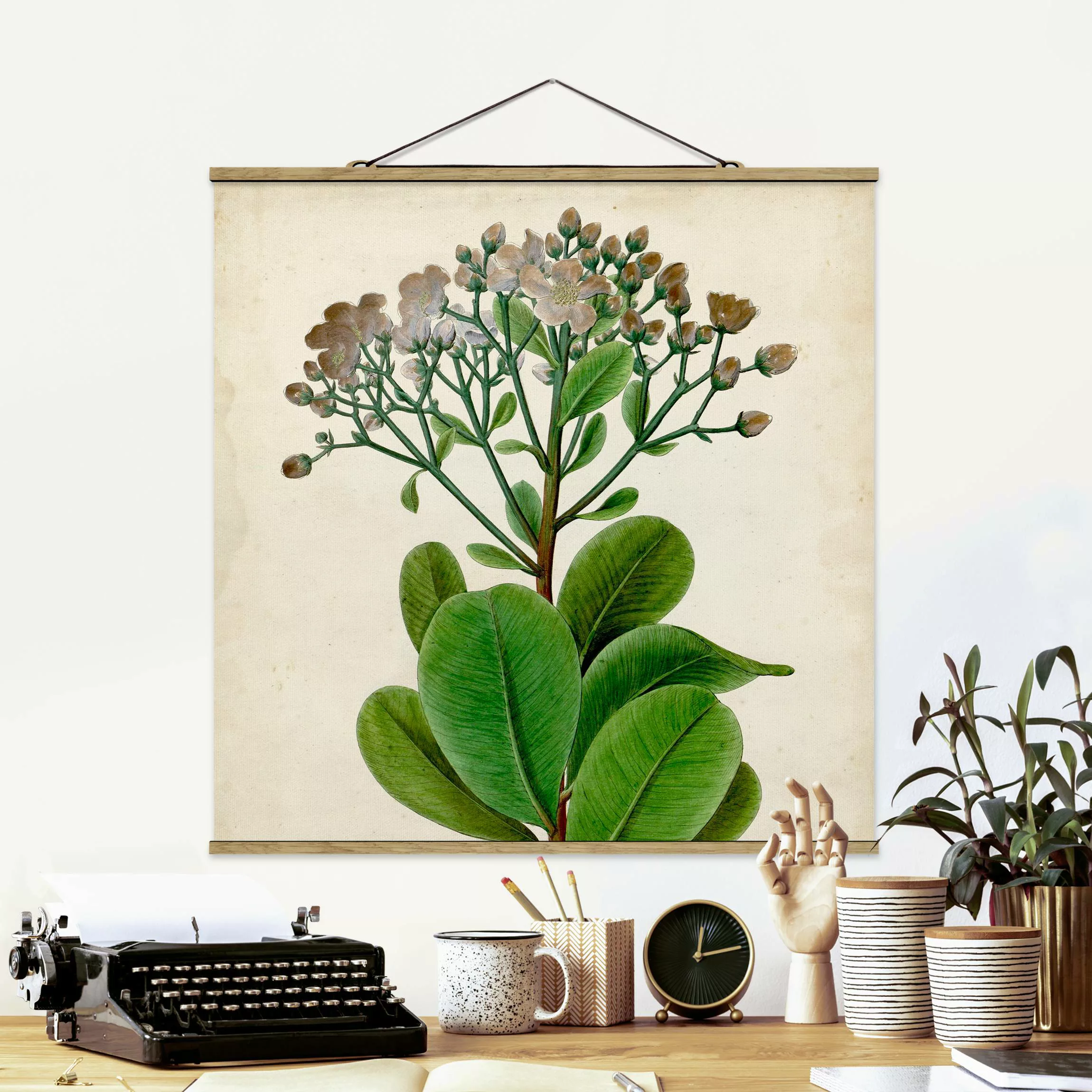 Stoffbild Blumen mit Posterleisten - Quadrat Laubbaum Schautafel VIII günstig online kaufen