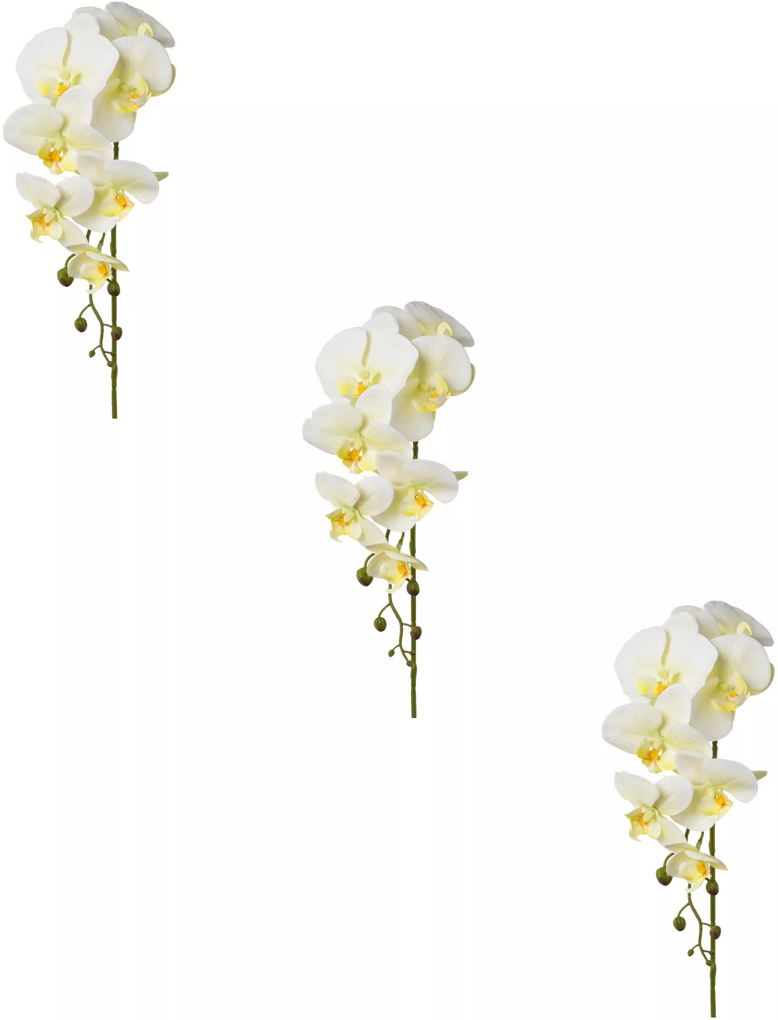 Creativ green Kunstblume "Orchidee Phalaenopsis" günstig online kaufen