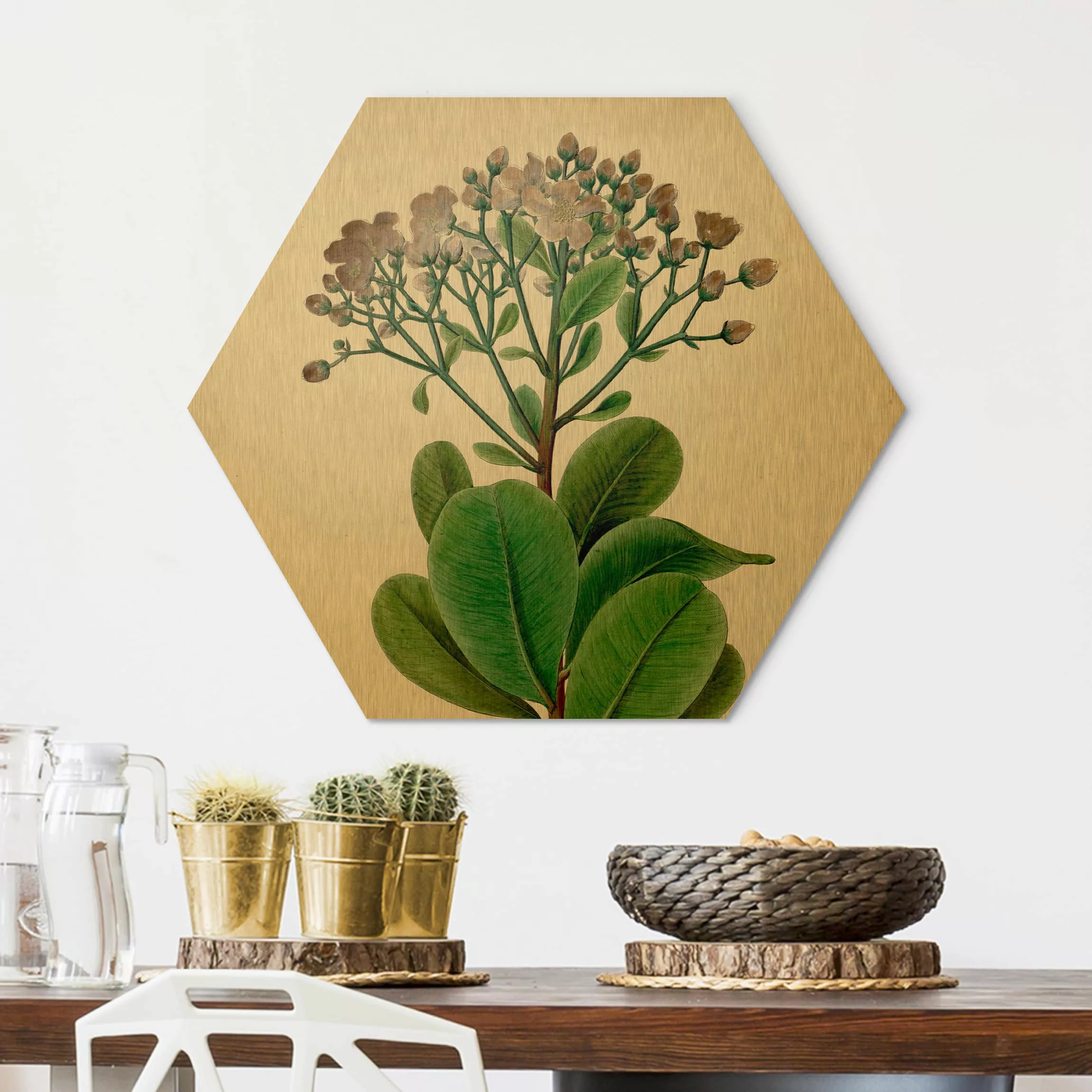 Hexagon-Alu-Dibond Bild Blumen Laubbaum Schautafel VIII günstig online kaufen