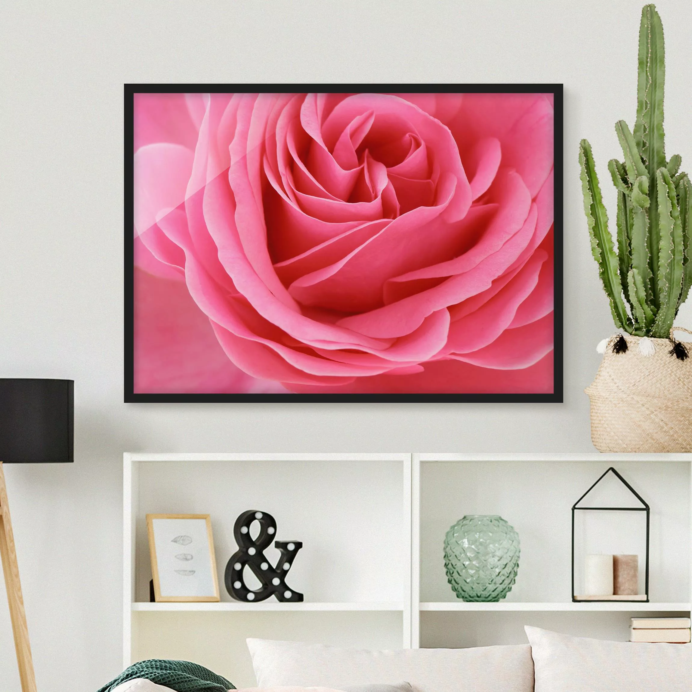 Bild mit Rahmen Blumen - Querformat Lustful Pink Rose günstig online kaufen