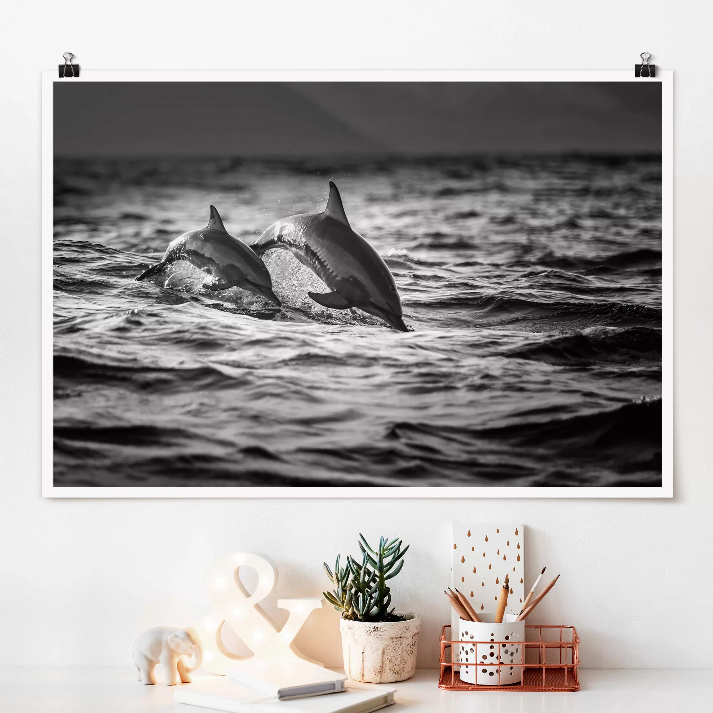 Poster Tiere - Querformat Zwei springende Delfine günstig online kaufen