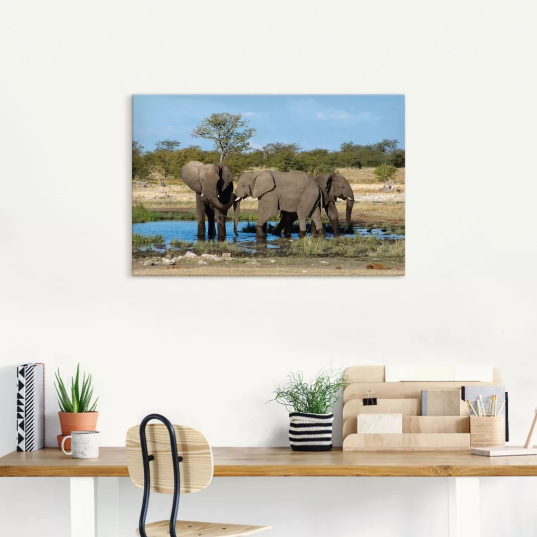 Artland Wandbild »Afrikanischer Elefant EtoshaNationalpark«, Elefanten Bild günstig online kaufen