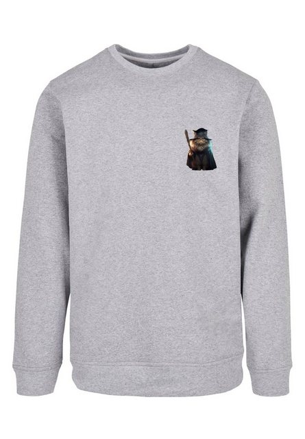 F4NT4STIC Kapuzenpullover Wizard Cat CREW Print günstig online kaufen