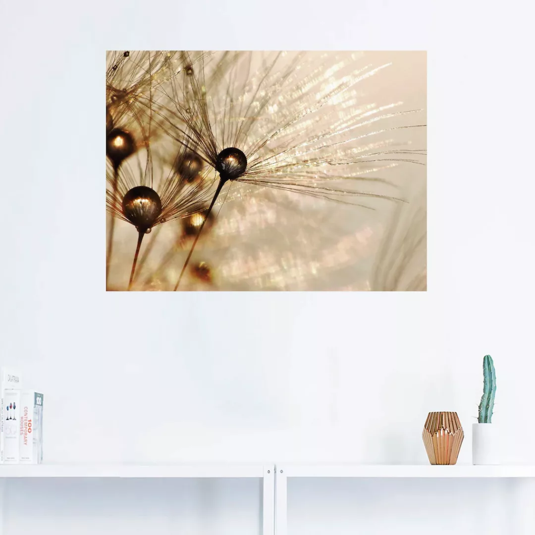 Artland Wandbild »Pusteblume Goldener Tropfen«, Blumen, (1 St.), als Alubil günstig online kaufen