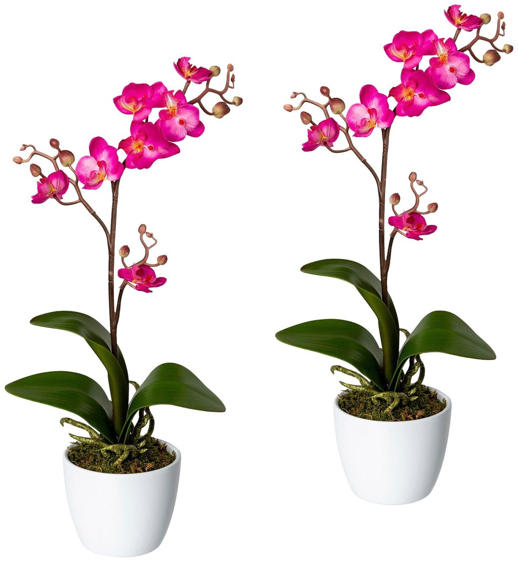 Creativ green Kunstpflanze "Orchidee Phalaenopsis", im Keramiktopf günstig online kaufen