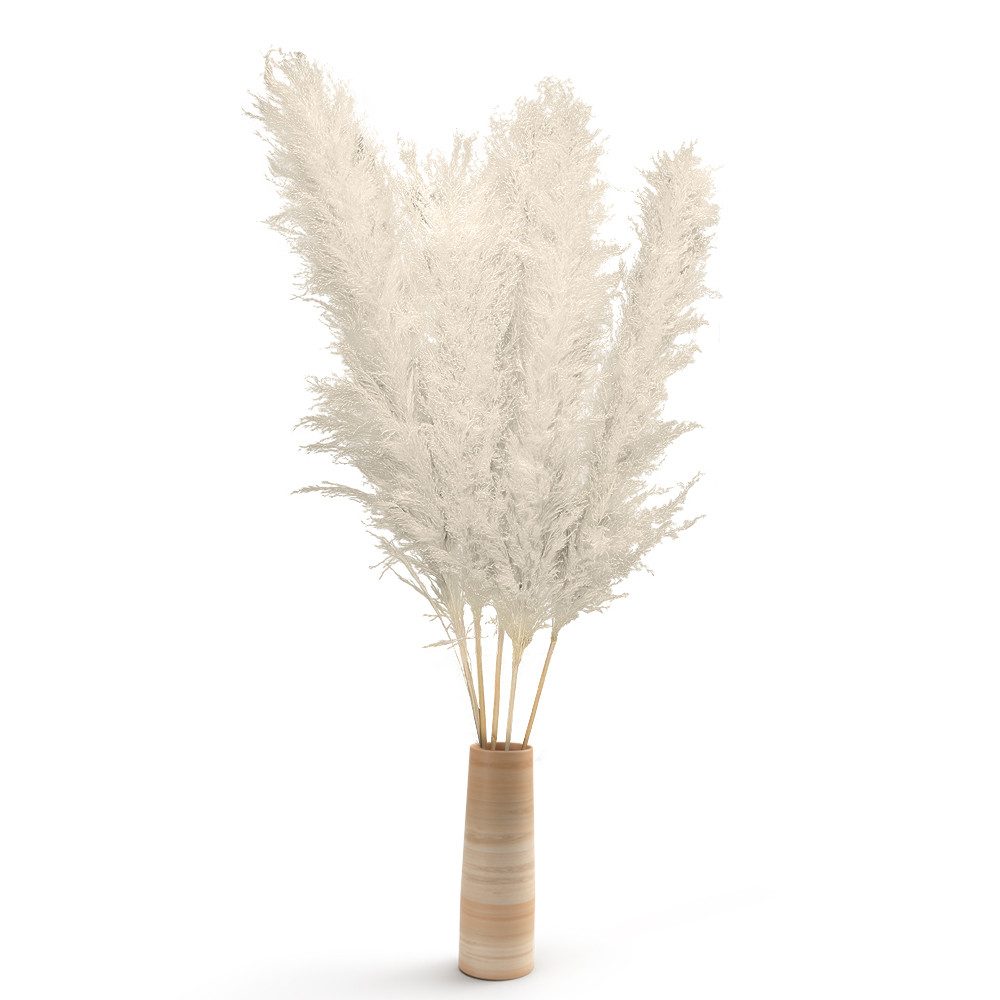 Trockenblume Jumbo Pampasgras 5 Stiele Gelb-120cm günstig online kaufen