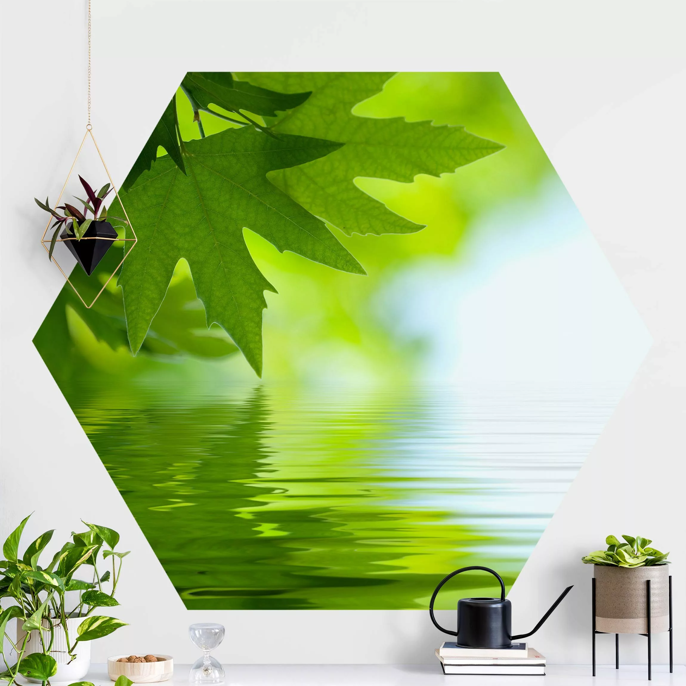 Hexagon Fototapete selbstklebend Green Ambiance III günstig online kaufen