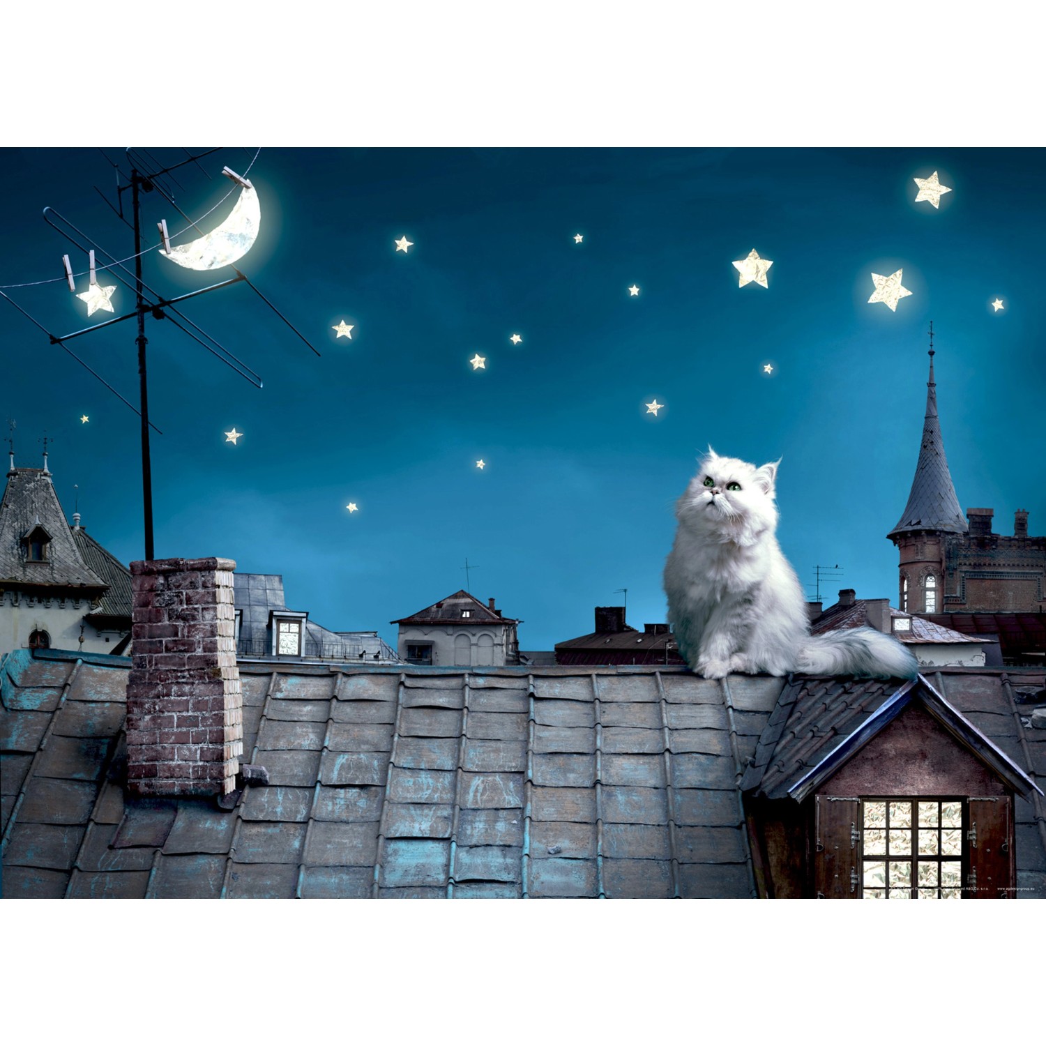 Sanders & Sanders Poster Katze Blau und Grau 160 x 110 cm 600685 günstig online kaufen