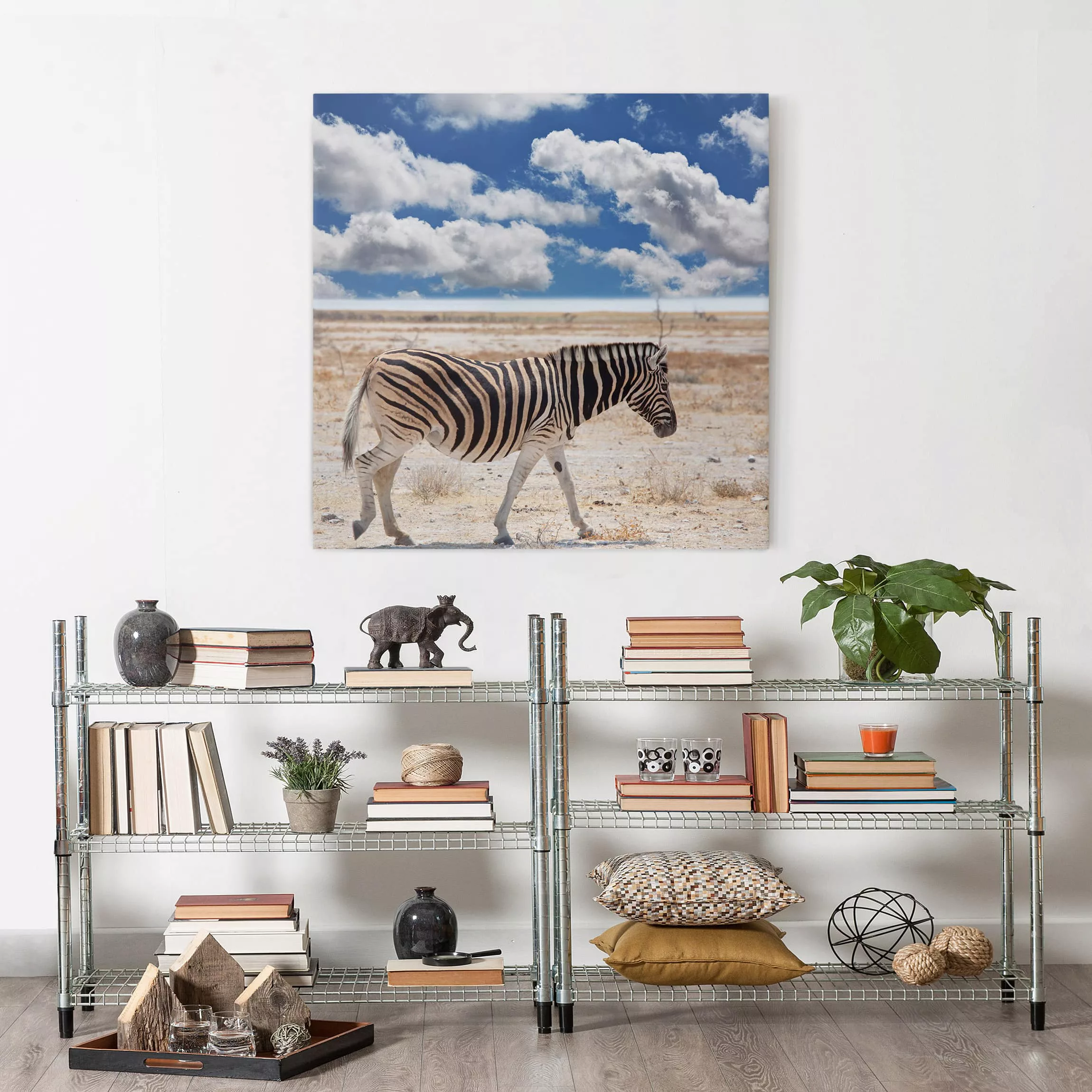 Leinwandbild Tiere - Quadrat Zebra in der Savanne günstig online kaufen
