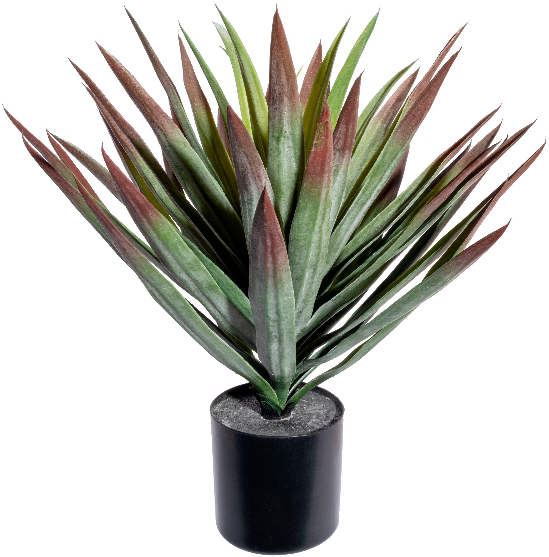 Creativ green Künstliche Zimmerpflanze "Yucca" günstig online kaufen