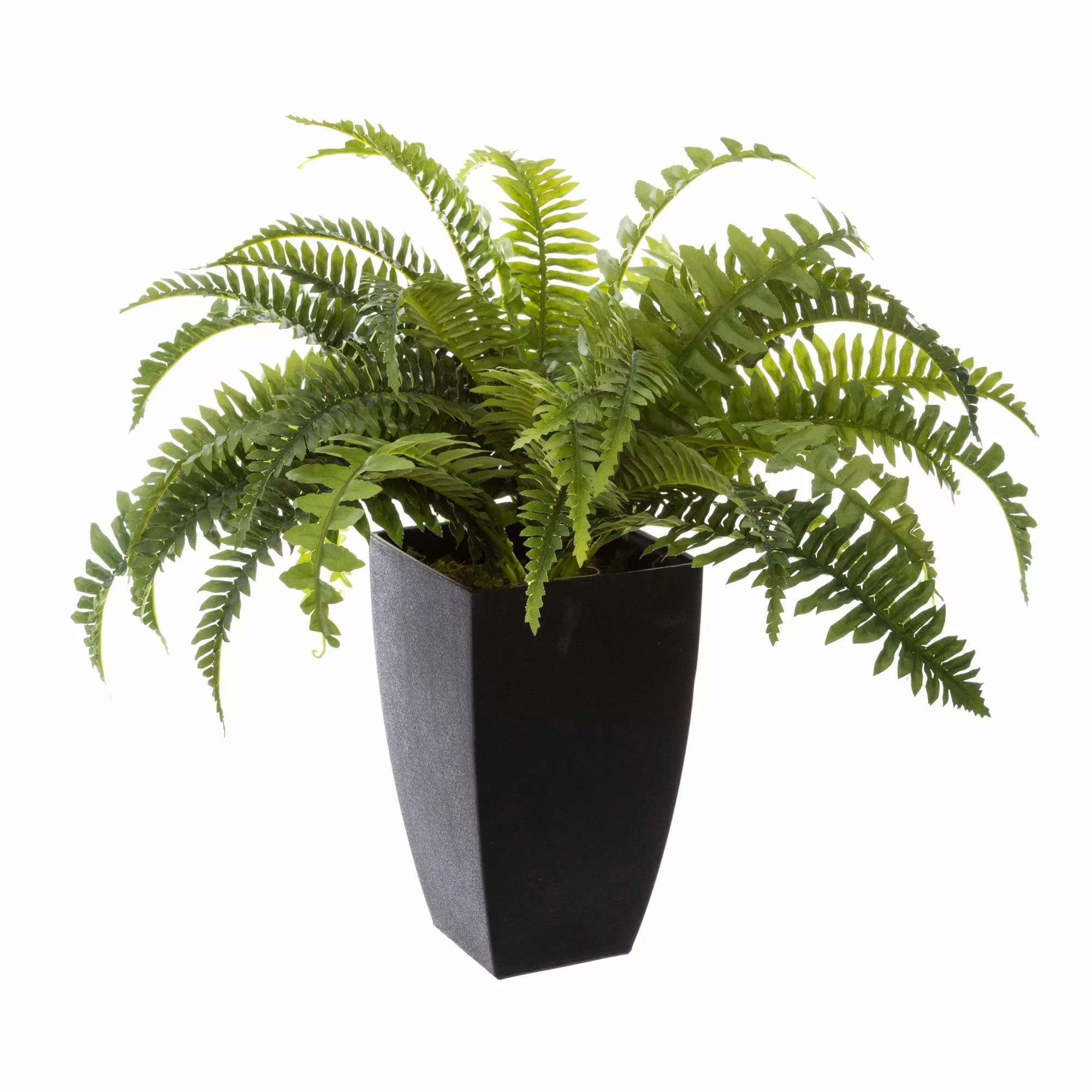 Kunstpflanze Tüpfelfarn Zimmerpflanze, Atmosphera Créateur d'intérieur, günstig online kaufen