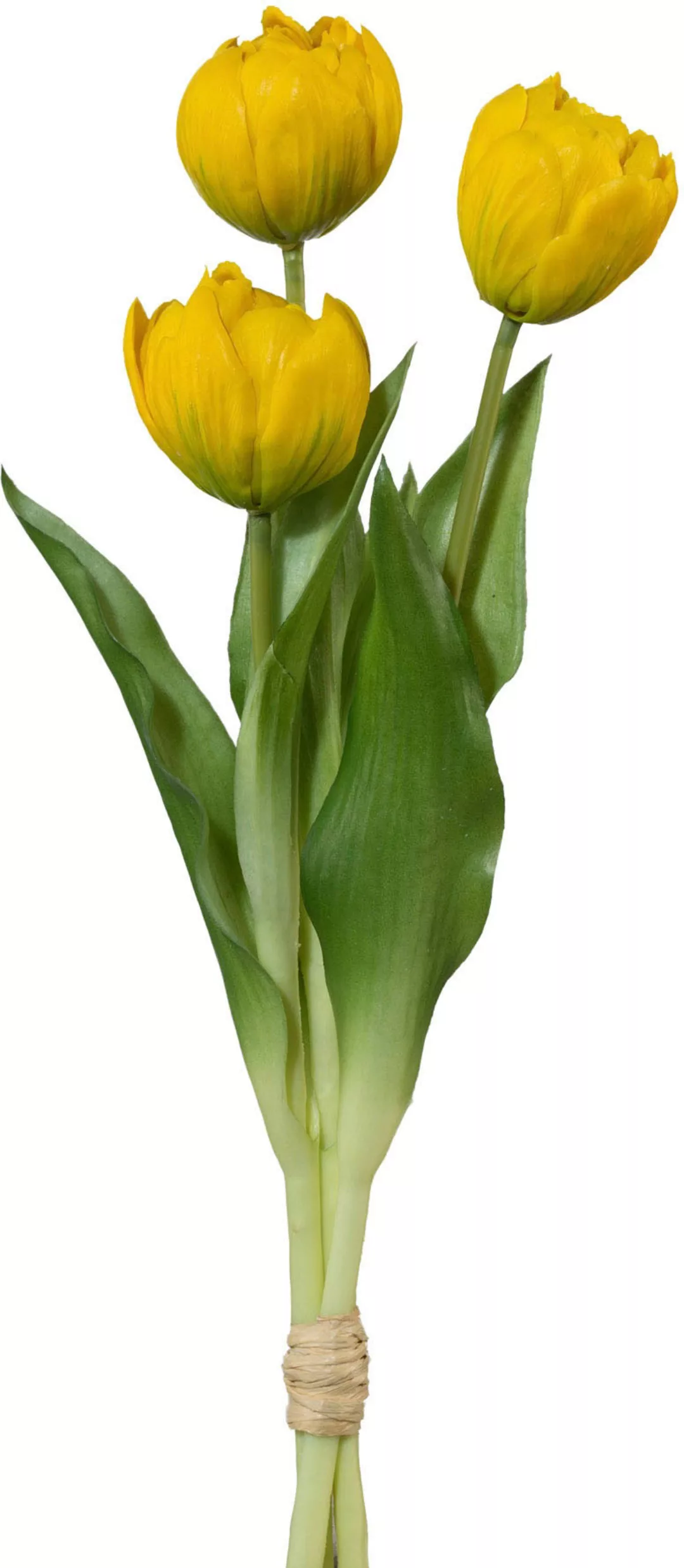 my home Kunsttulpe "Gefüllte Tulpen" günstig online kaufen