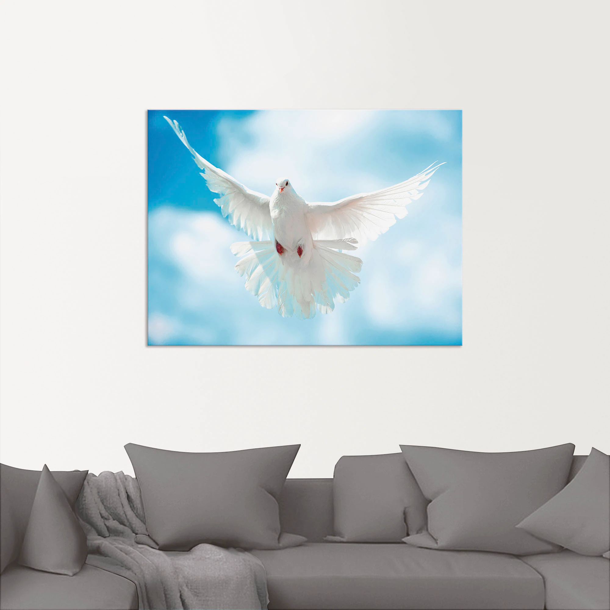 Artland Wandbild »Taube mit ausgebreiteten Flügeln«, Vögel, (1 St.), als Al günstig online kaufen