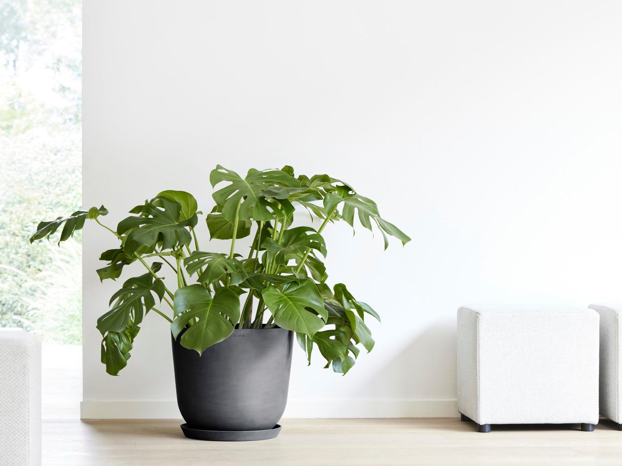 ECOPOTS Blumentopf Oslo 45 + Wassersystem günstig online kaufen