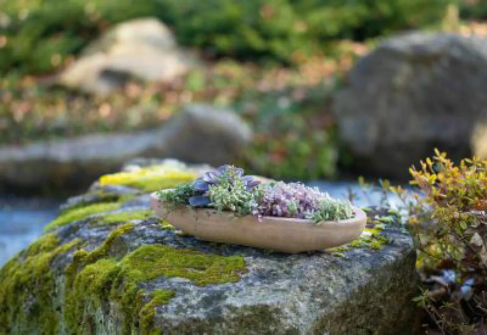 HOME Living Pflanzer Terra Blumentöpfe braun günstig online kaufen