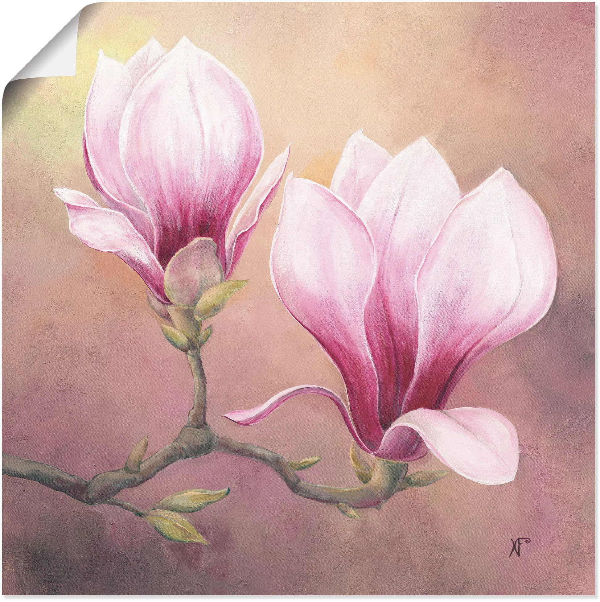 Artland Wandbild "Späte Magnolie", Blumenbilder, (1 St.), als Alubild, Lein günstig online kaufen