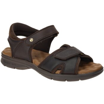 Panama Jack  Sandalen Offene Sanders C17 Sandale Sanders C17 marron günstig online kaufen