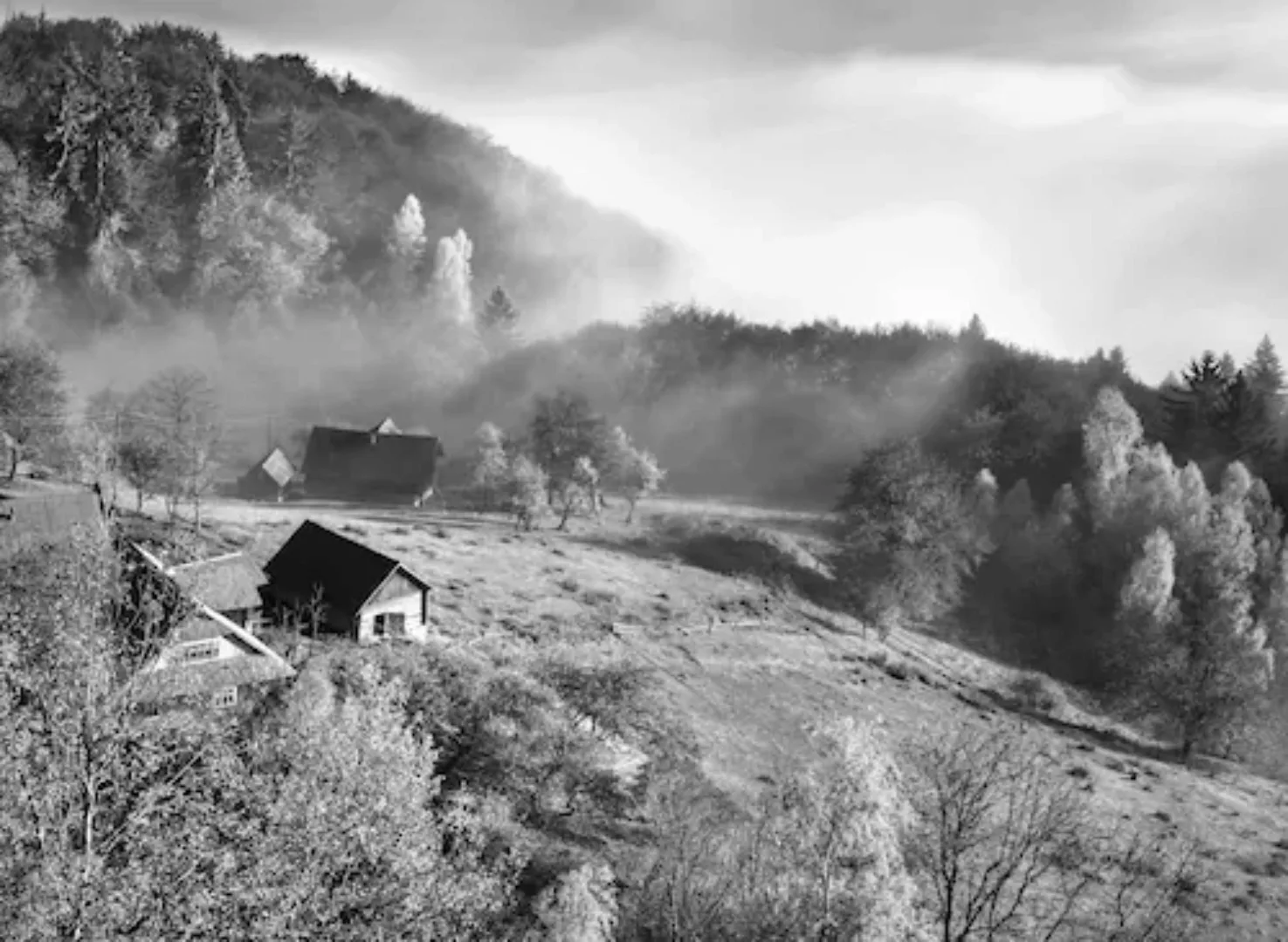 Papermoon Fototapete »Landschaft Schwarz & Weiß« günstig online kaufen