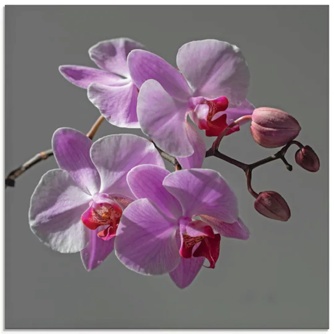 Artland Glasbild "Orchideentraum", Blumen, (1 St.) günstig online kaufen