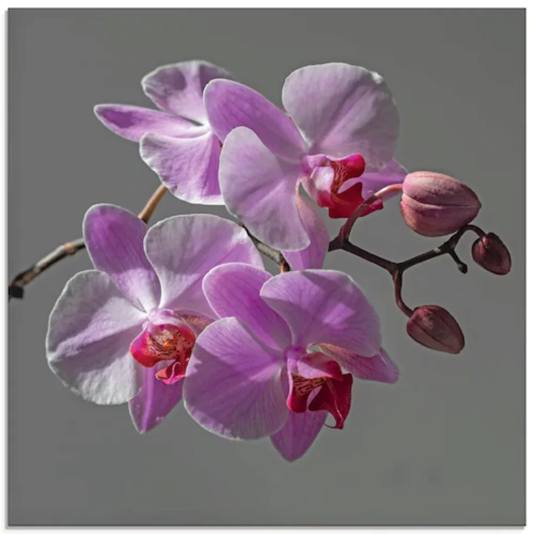 Artland Glasbild »Orchideentraum«, Blumen, (1 St.), in verschiedenen Größen günstig online kaufen