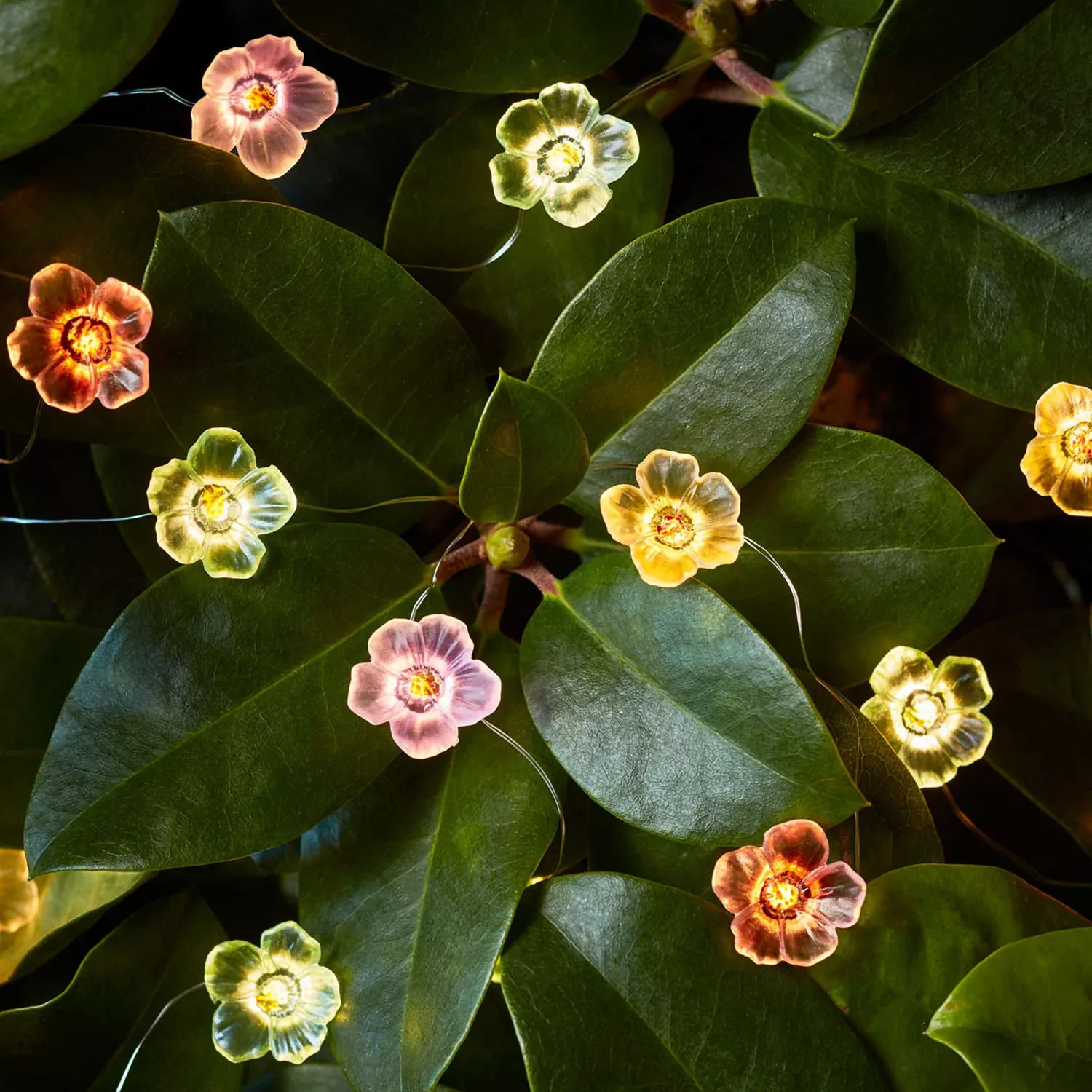 20er Micro Lichterkette außen bunte Rosen günstig online kaufen