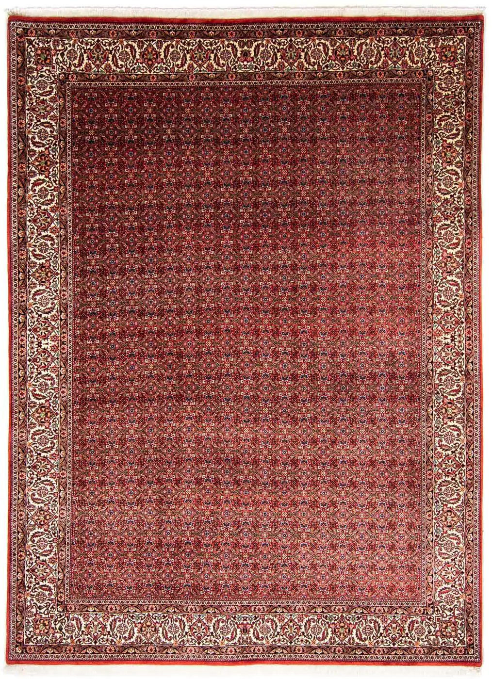 morgenland Orientteppich »Perser - Bidjar - 350 x 250 cm - dunkelrot«, rech günstig online kaufen