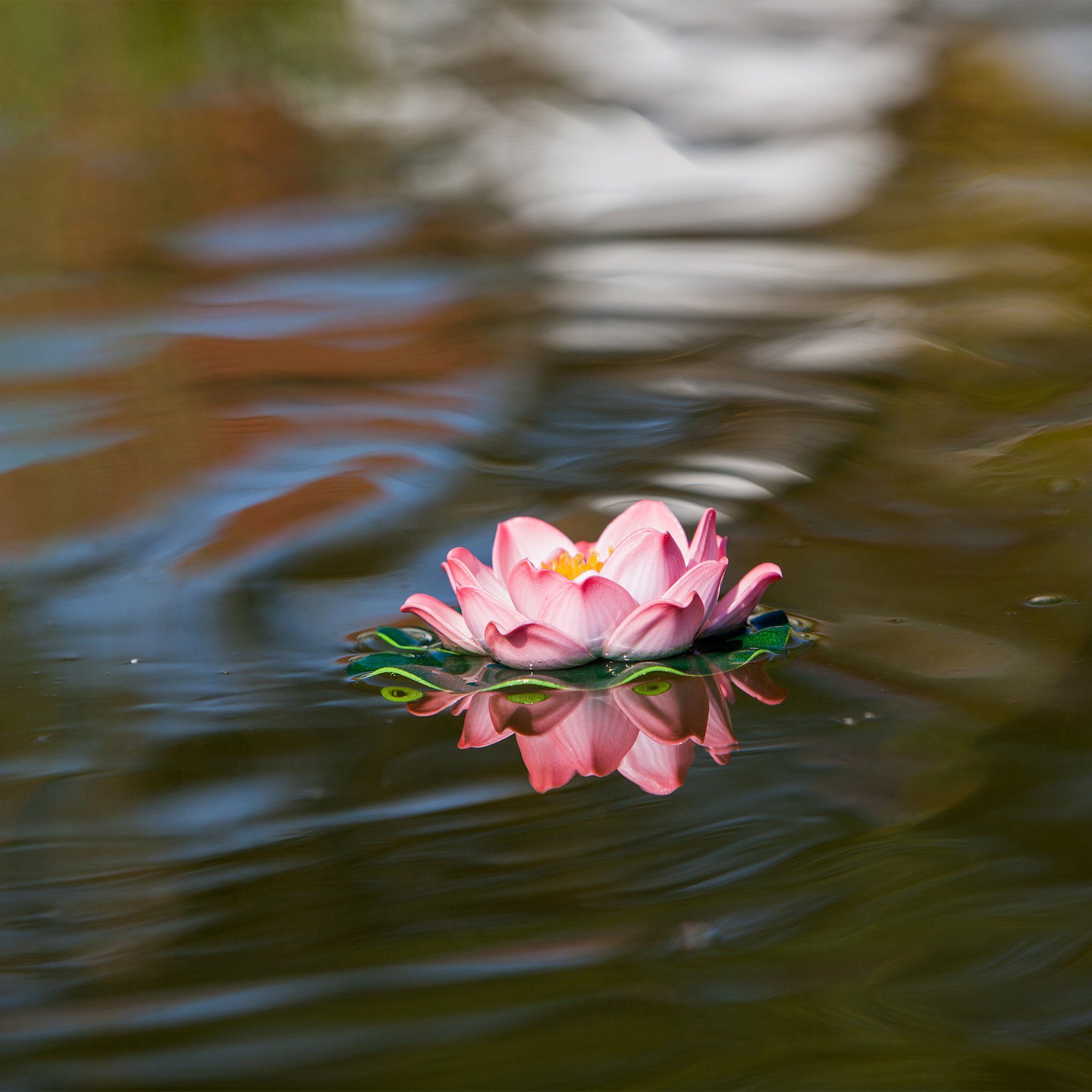 Heissner Teichfigur Heissner künstliche Seerose rosa günstig online kaufen