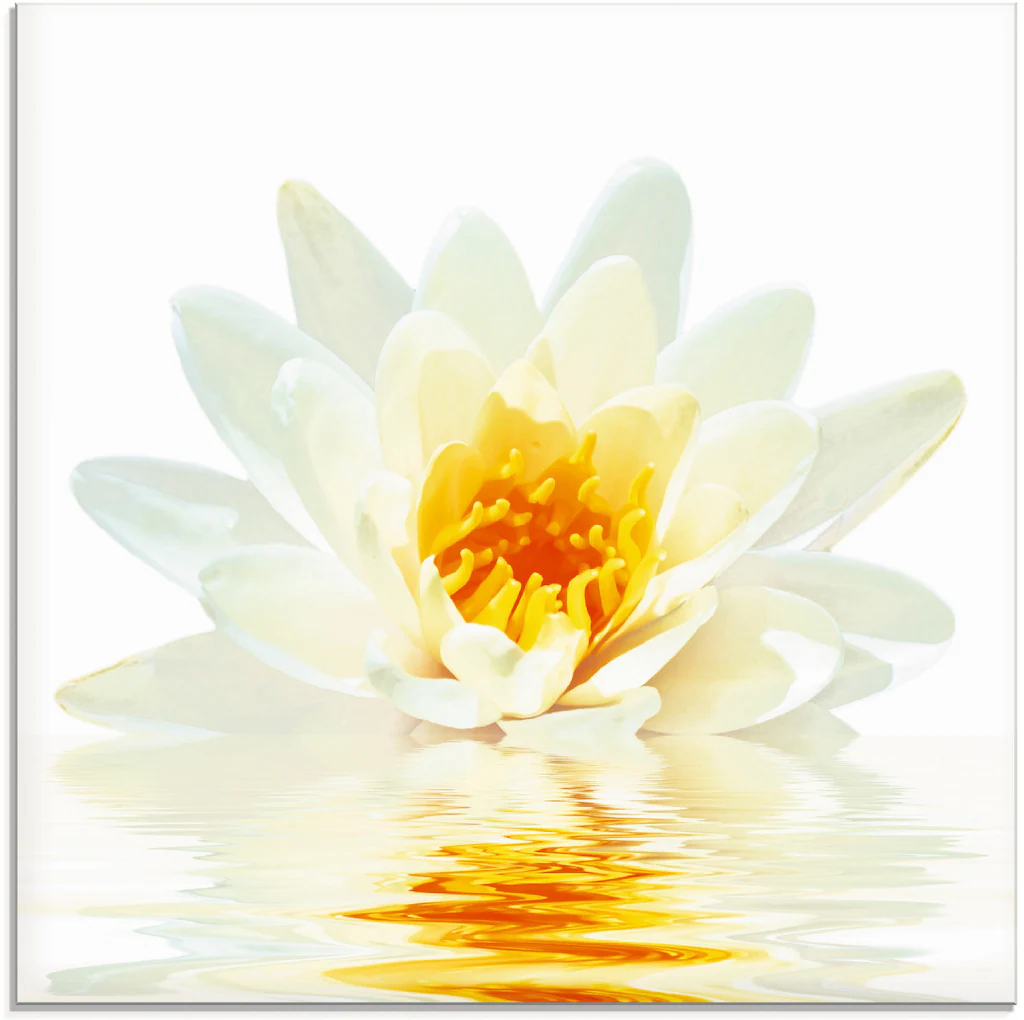 Artland Glasbild "Lotusblume schwimmt im Wasser", Blumen, (1 St.), in versc günstig online kaufen