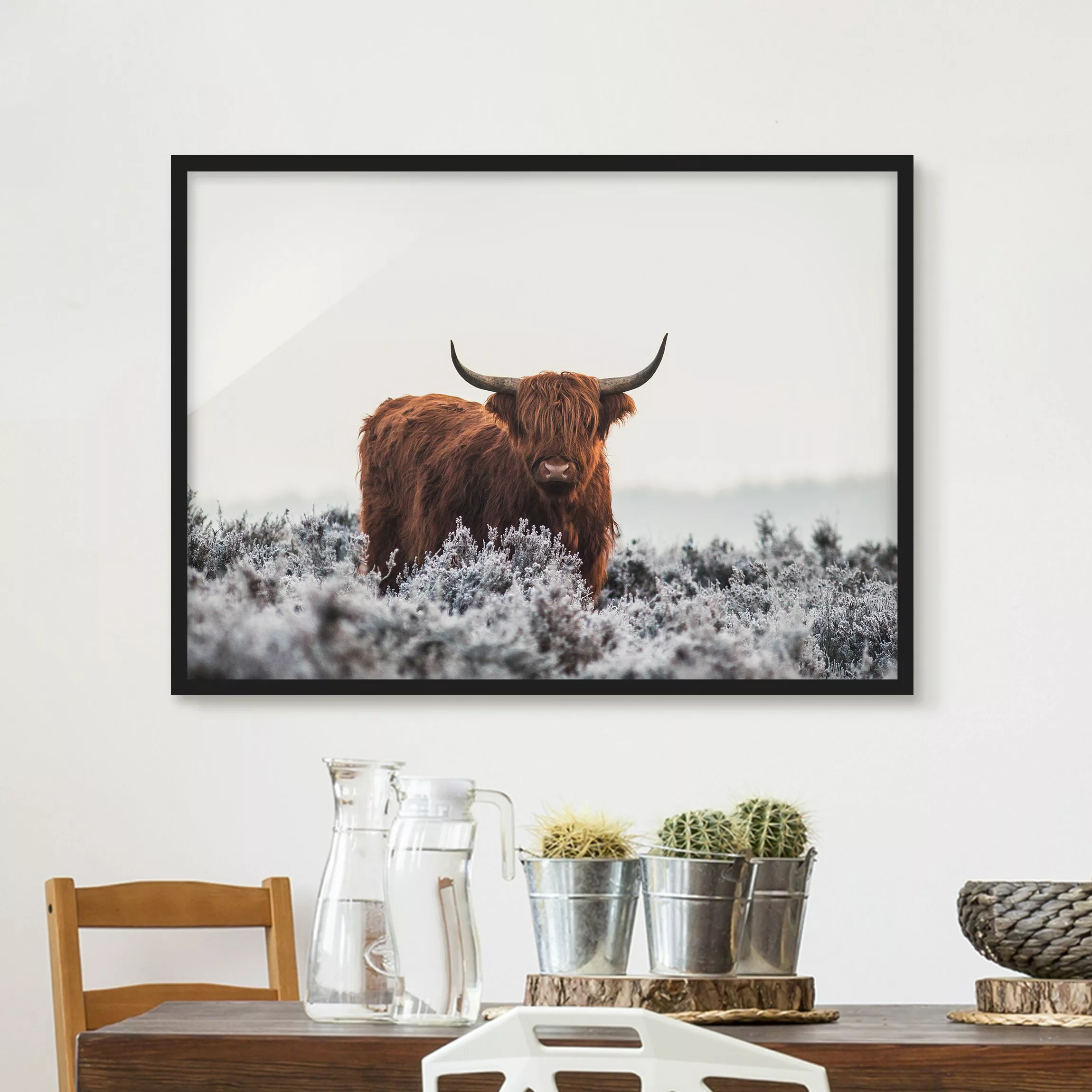 Bild mit Rahmen Tiere - Querformat Bison in den Highlands günstig online kaufen