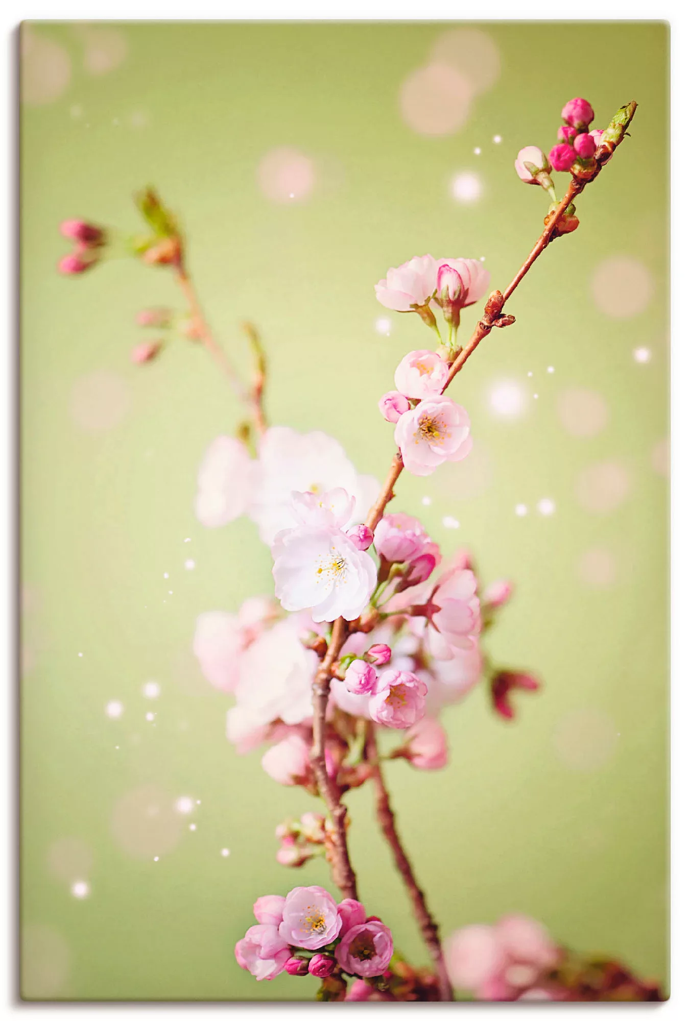 Artland Wandbild »Kirschblütenzweig«, Blumen, (1 St.), als Leinwandbild, Wa günstig online kaufen