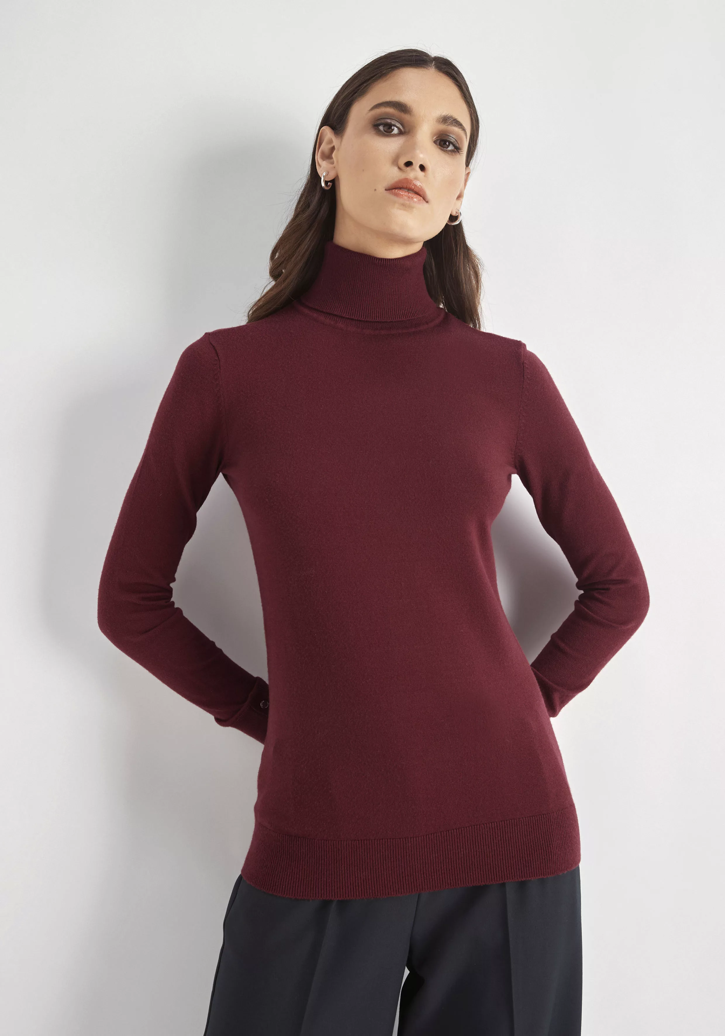 HECHTER PARIS Strickpullover mit Rollkragen günstig online kaufen