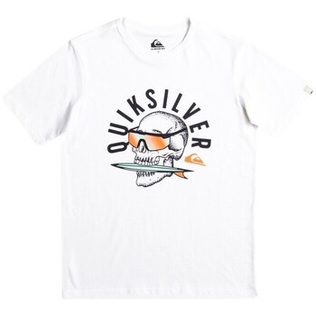 Quiksilver  T-Shirt - günstig online kaufen