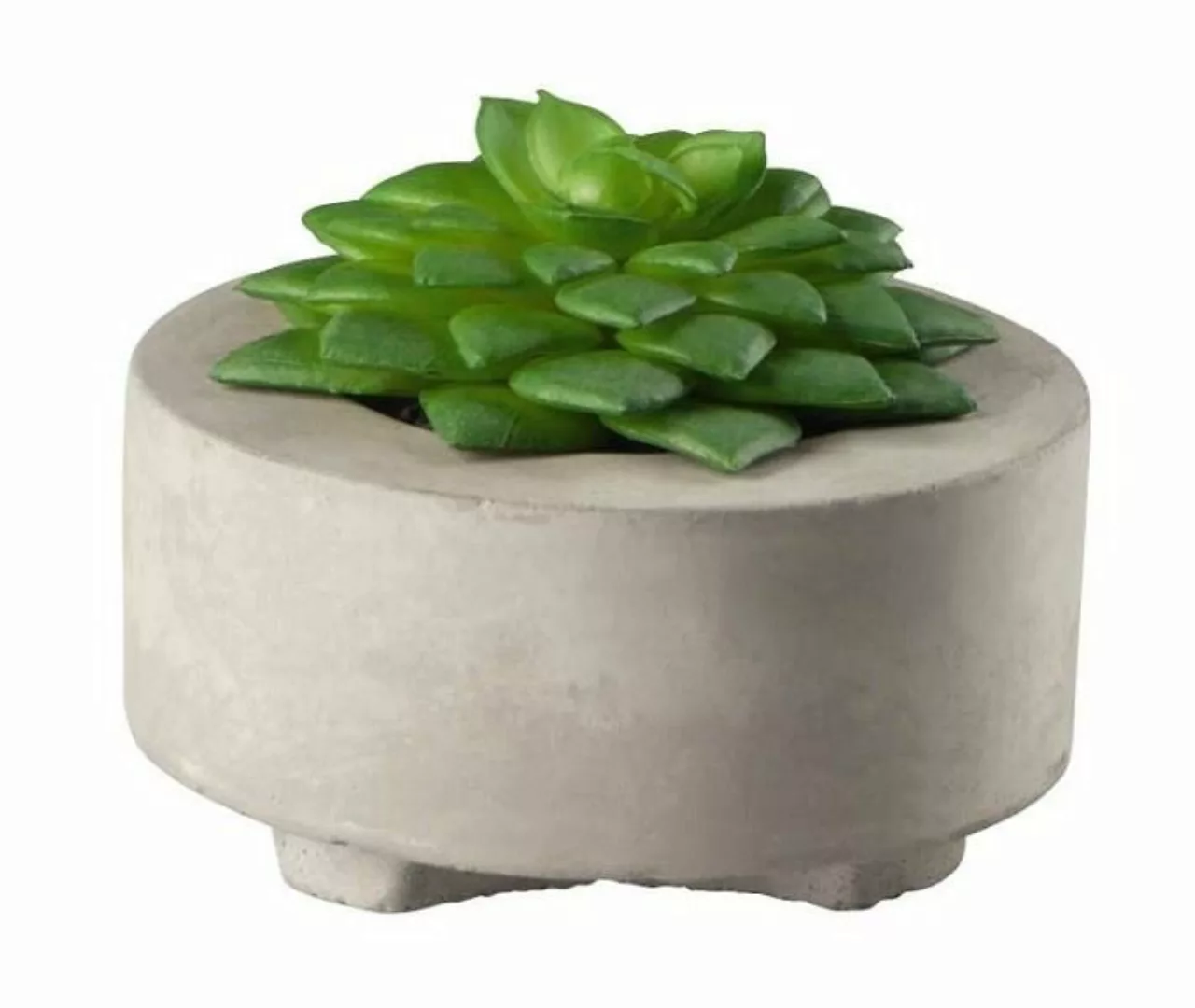 ASA Kunstpflanzen & -blumen Sukkulente II im grauen Betontopf grün D. 8,5 c günstig online kaufen
