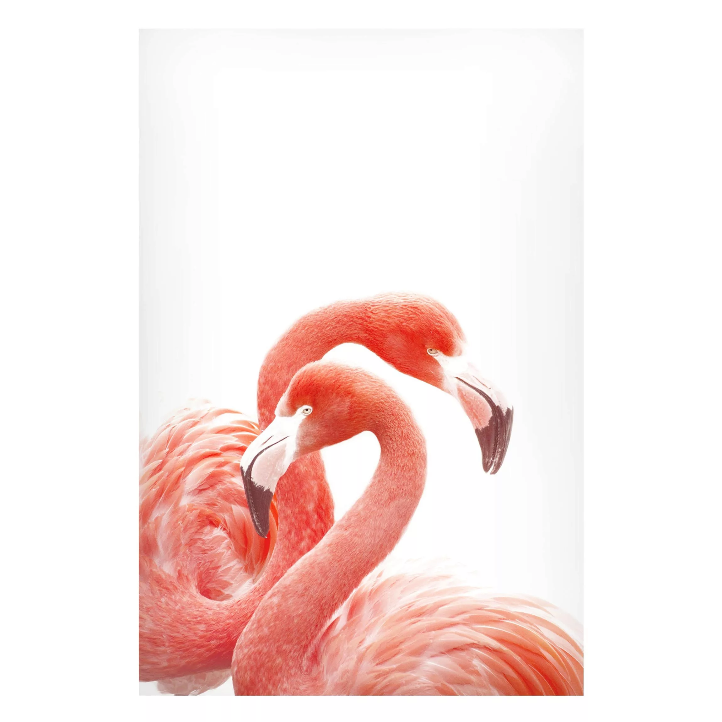 Magnettafel Zwei Flamingos günstig online kaufen