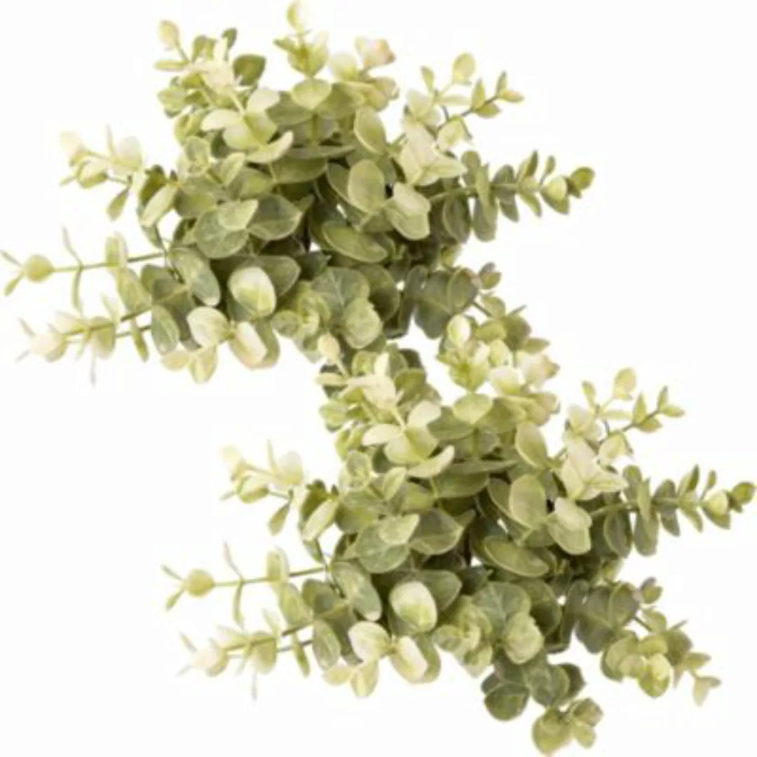 Kunstpflanze Eukalyptus-Halbkugel 2er-Pack grün günstig online kaufen