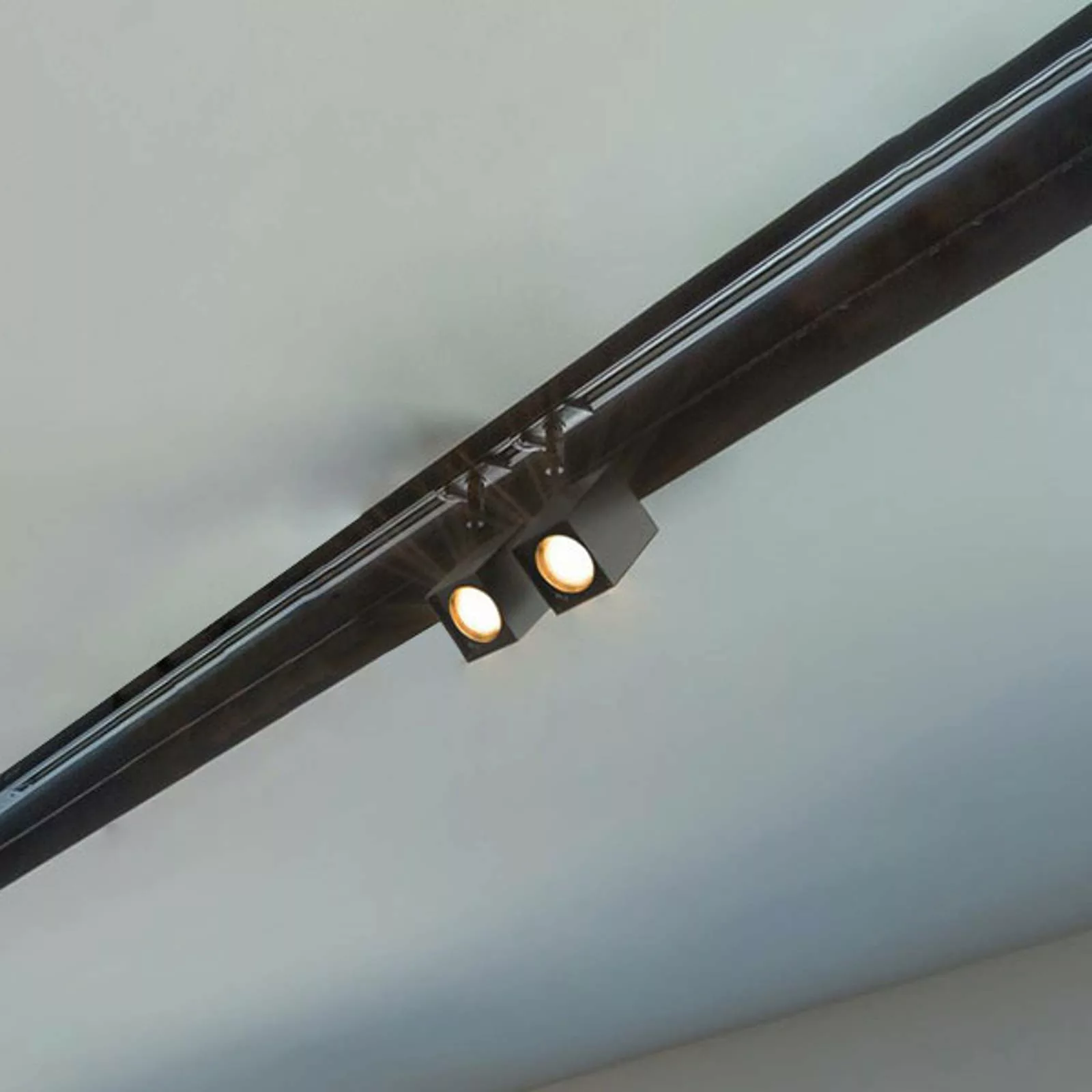Leuchtenspot Altra Dice für 1-Phasen-Stromschiene in schwarz, inkl. Adapter günstig online kaufen