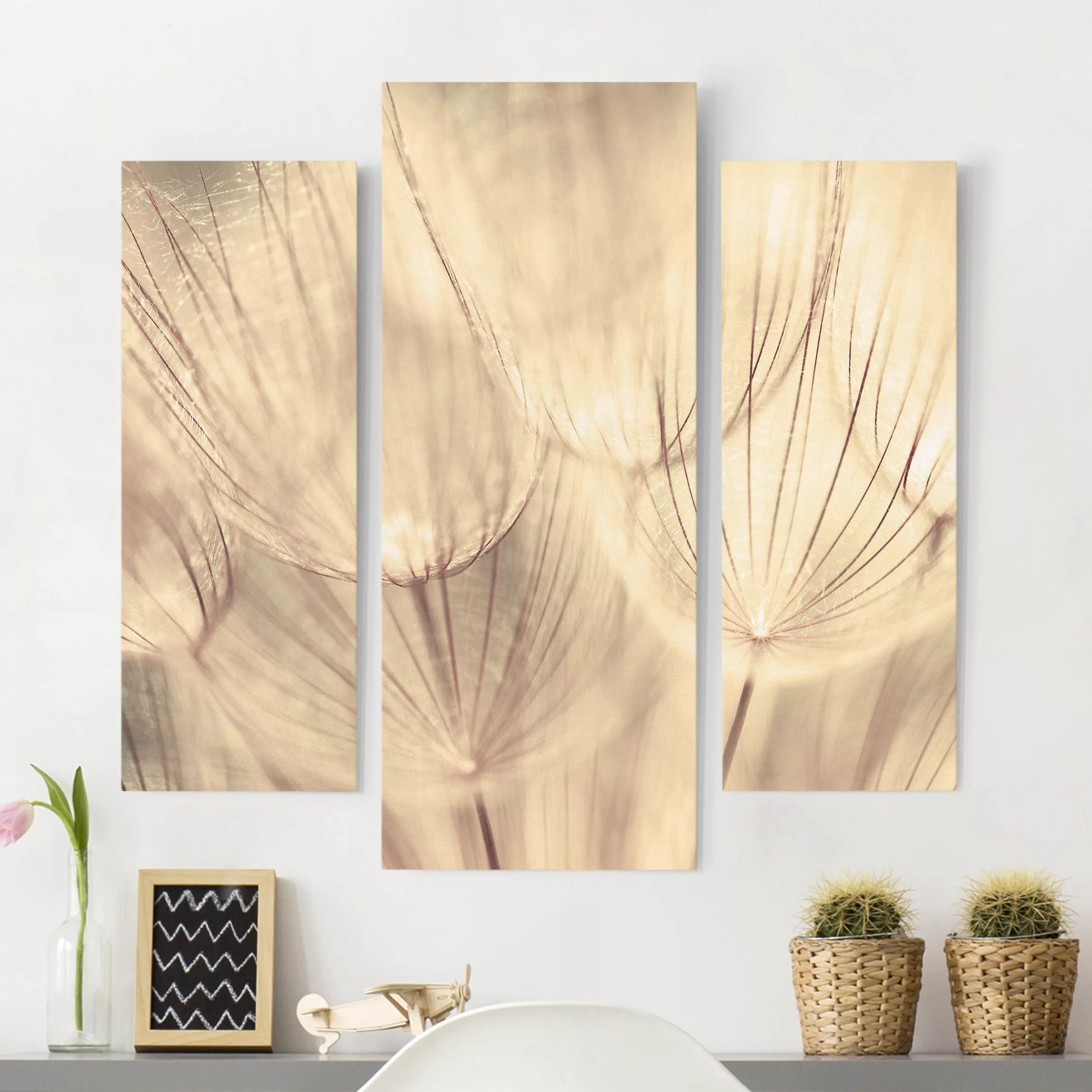 3-teiliges Leinwandbild Blumen Pusteblumen Nahaufnahme in wohnlicher Sepia günstig online kaufen