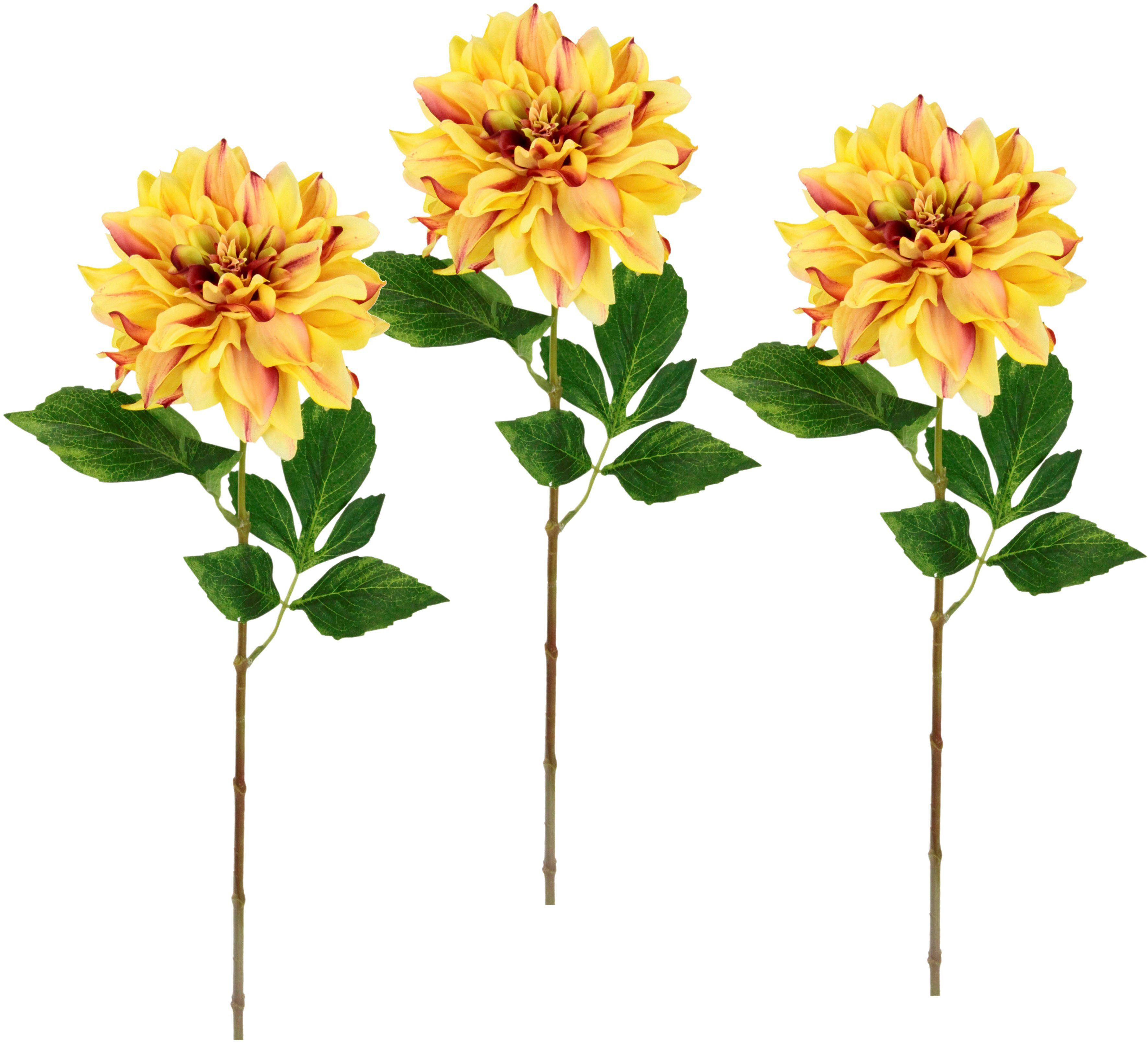 Kunstblume Dahlie, I.GE.A., Höhe 62 cm, günstig online kaufen