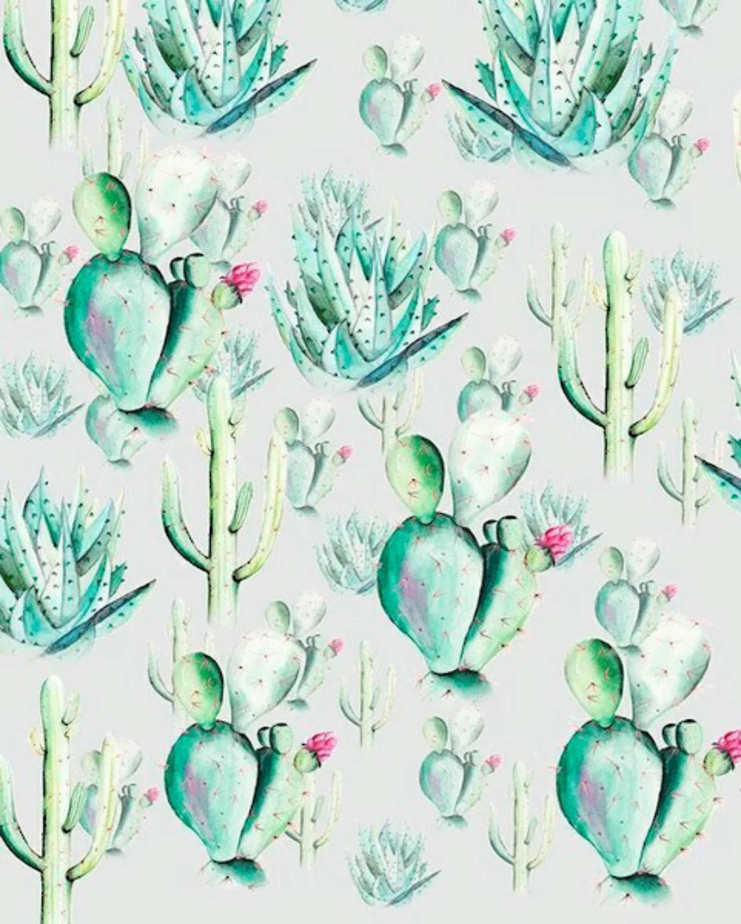 Komar Fototapete Vlies Cactus Blue  200 x 250 cm günstig online kaufen