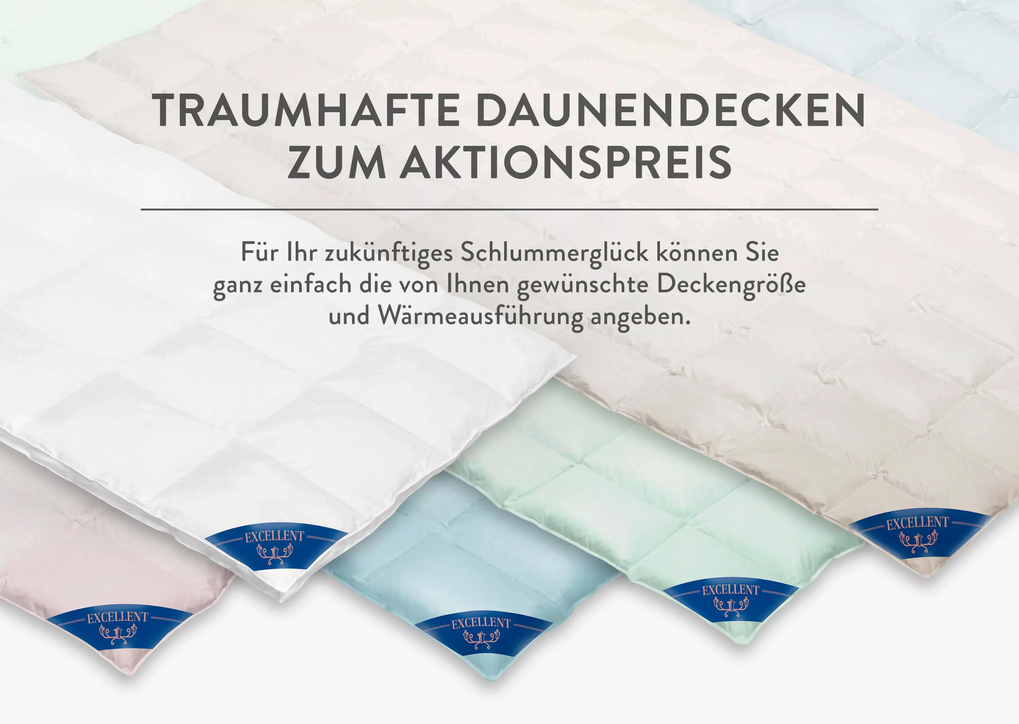 Excellent Daunenbettdecke »Überraschungsbox«, polarwarm, Füllung 90% Daunen günstig online kaufen