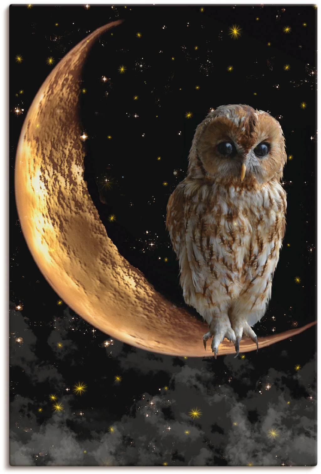 Artland Wandbild »Nachteule«, Vögel, (1 St.), als Alubild, Outdoorbild, Lei günstig online kaufen