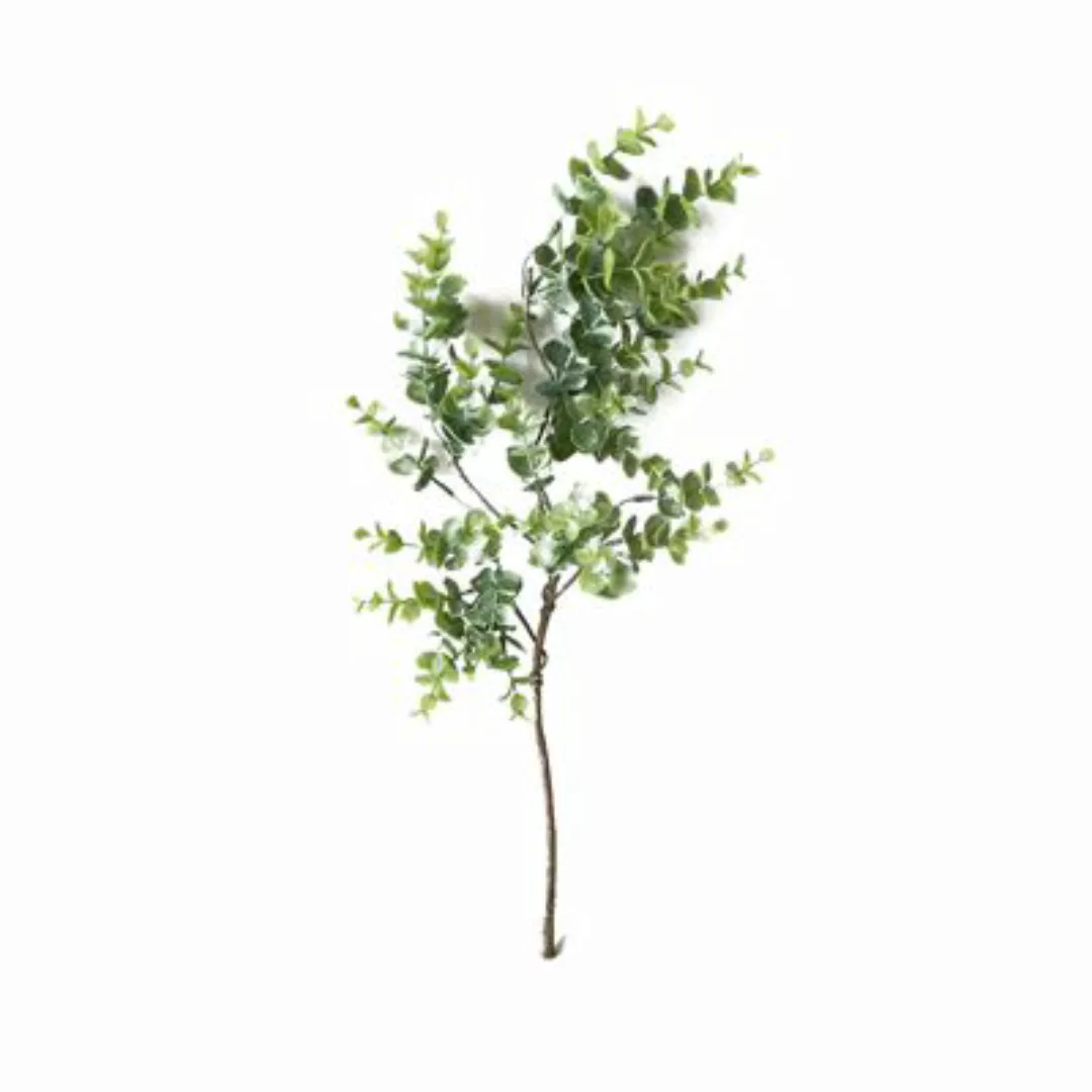 HTI-Living Eukalyptusstengel 50 cm Kunstpflanze Flora grün günstig online kaufen