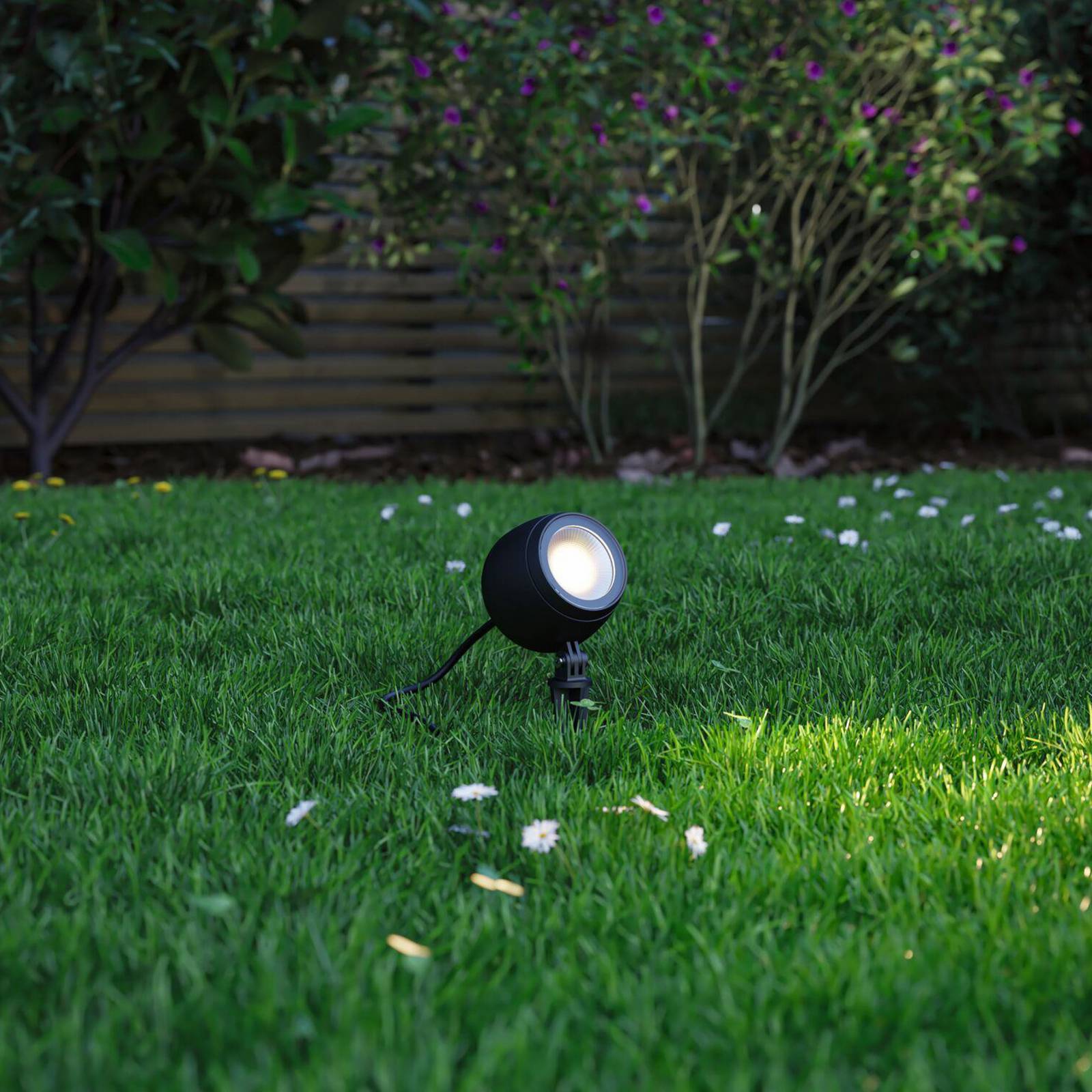 Paulmann Smart LED-Erdspießspot Kikolo, CCT, anthrazit, IP65 günstig online kaufen