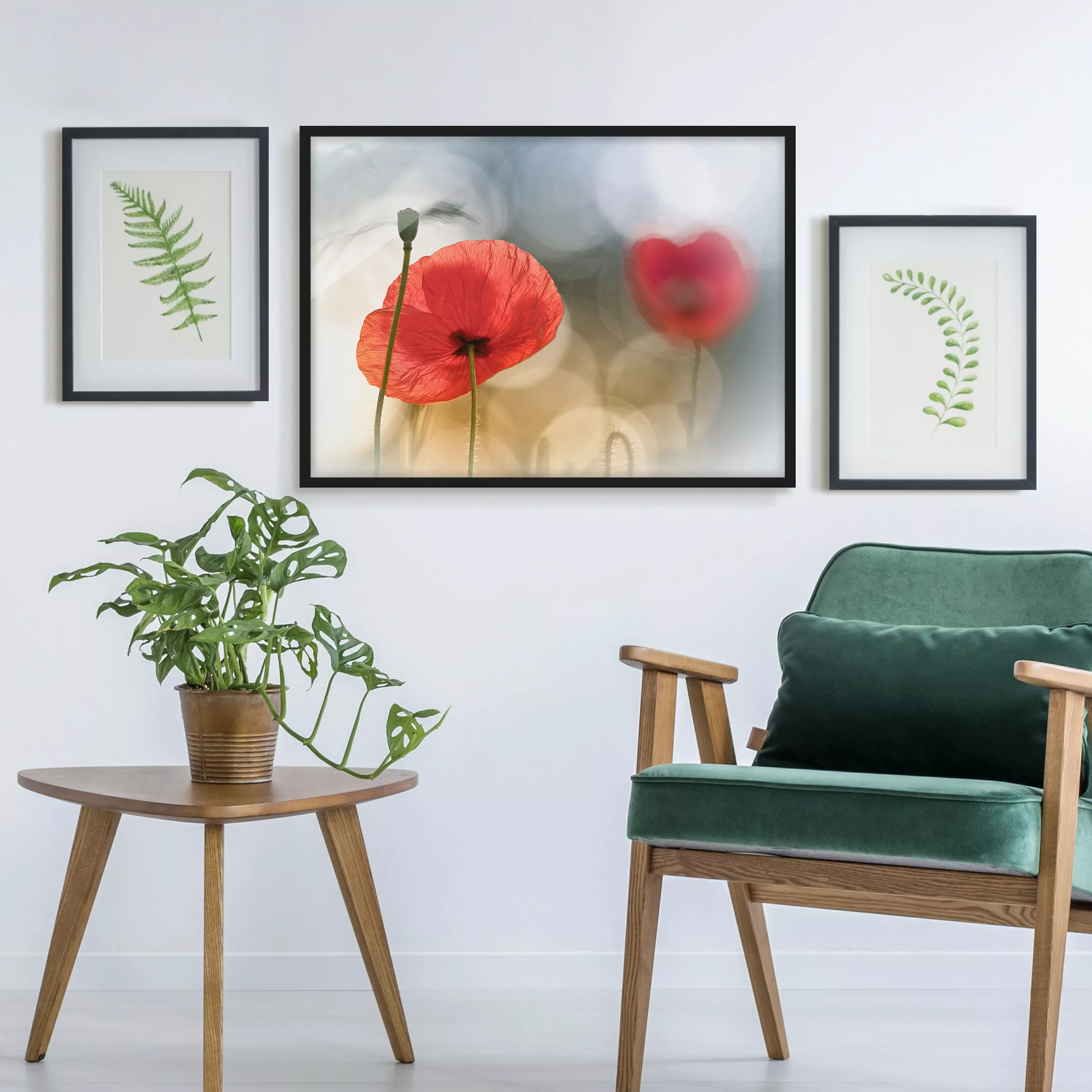 Bild mit Rahmen Blumen - Querformat Mohnblumen am Morgen günstig online kaufen