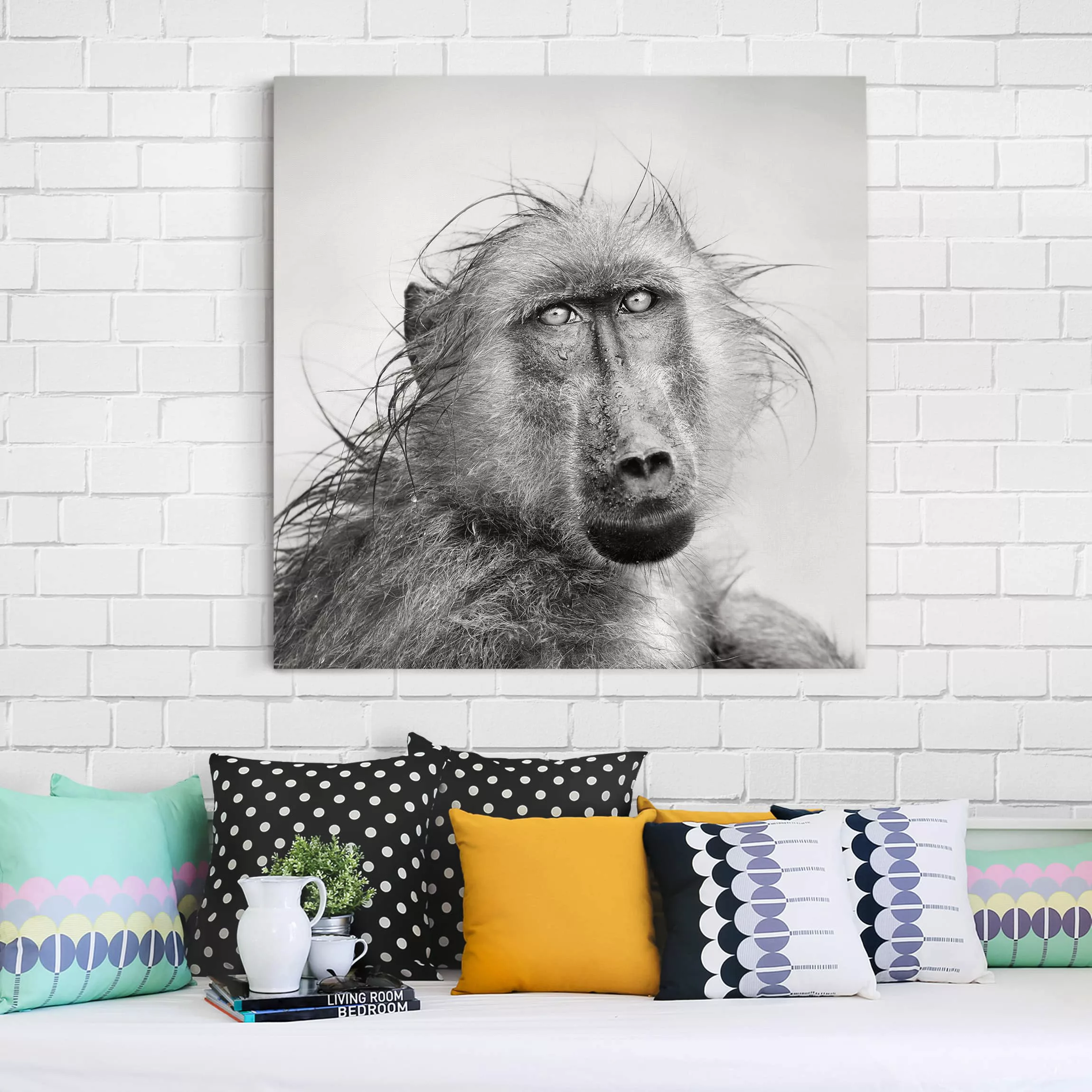 Leinwandbild - Quadrat Crying Baboon günstig online kaufen