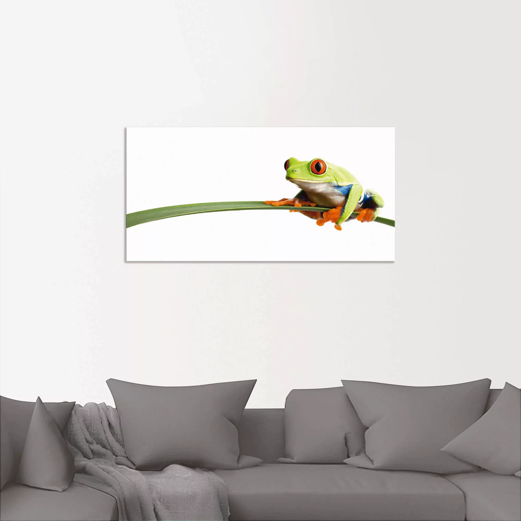 Artland Wandbild »Frosch auf einem Blatt«, Wassertiere, (1 St.), als Alubil günstig online kaufen