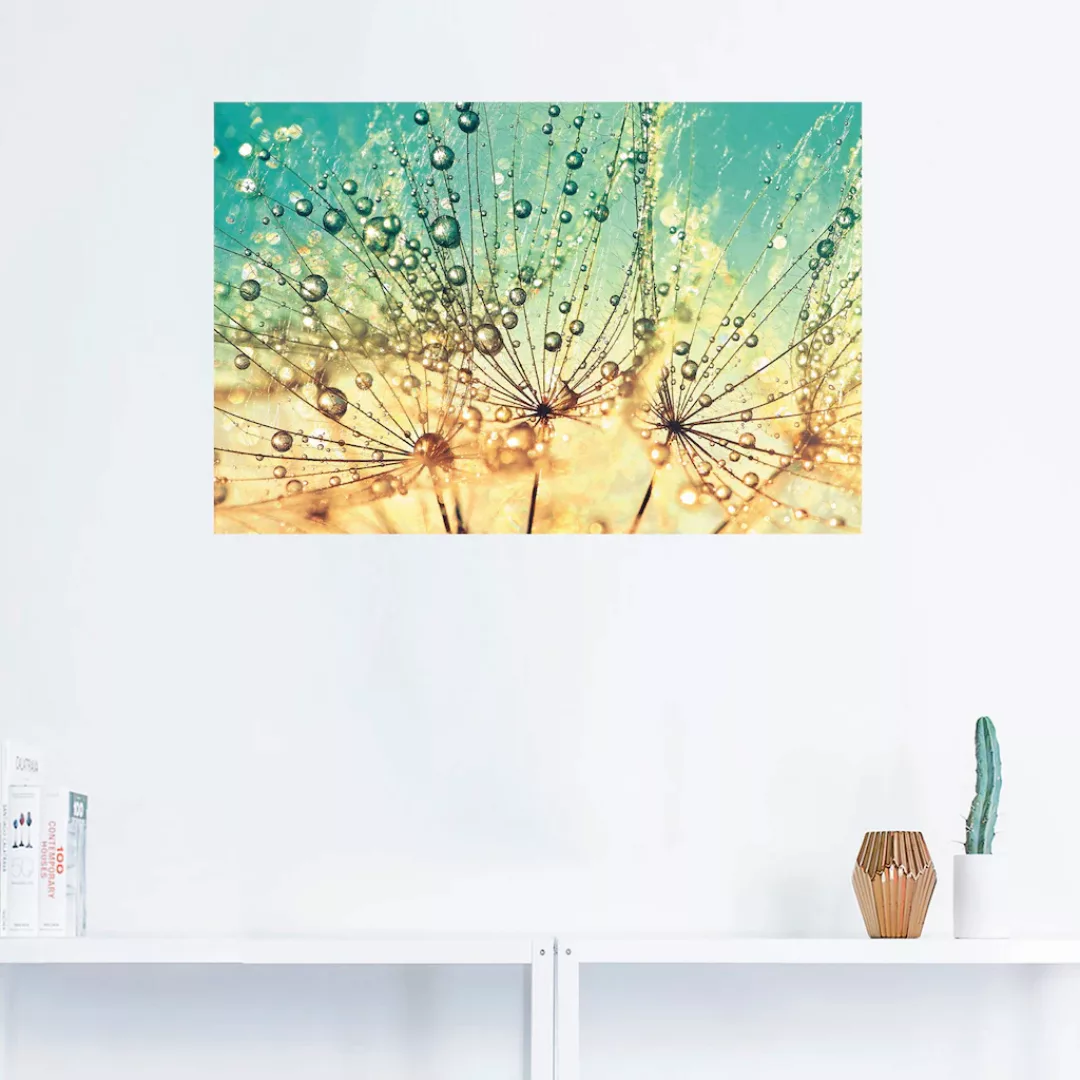 Artland Wandbild "Pusteblume Tropfenmagie", Blumen, (1 St.), als Alubild, O günstig online kaufen